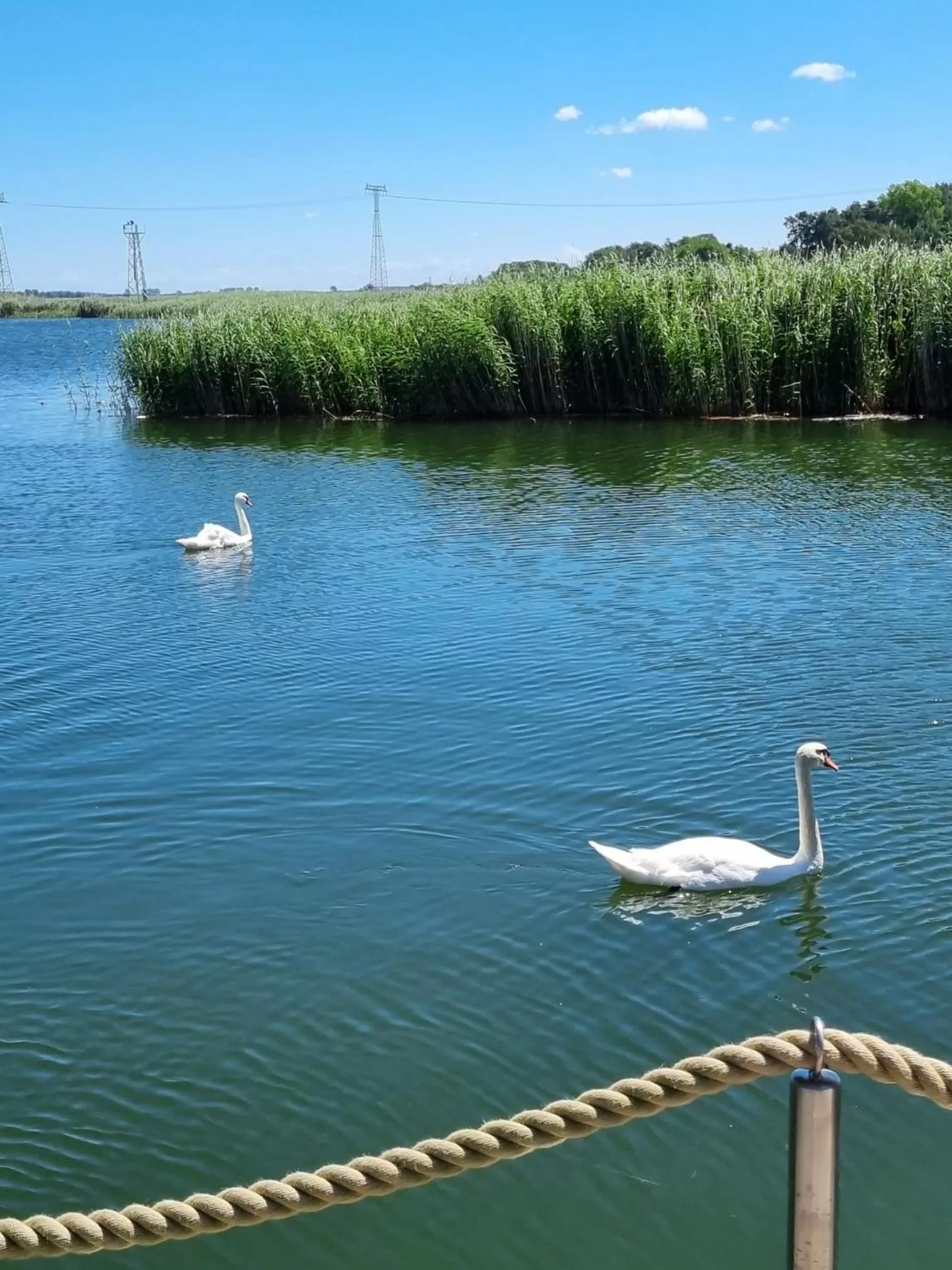 Natural landscape in Schwimmende Häuser im BALTIC SEA RESORT