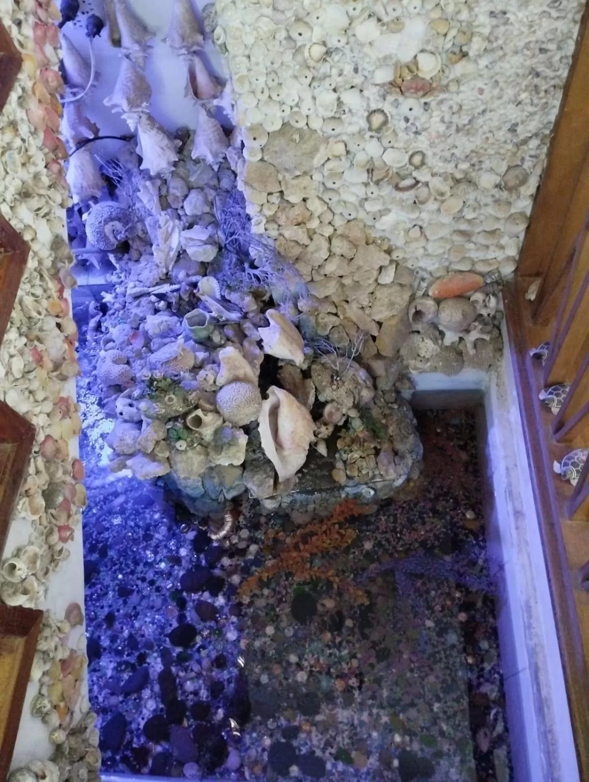 Property building in Sunset Paradise