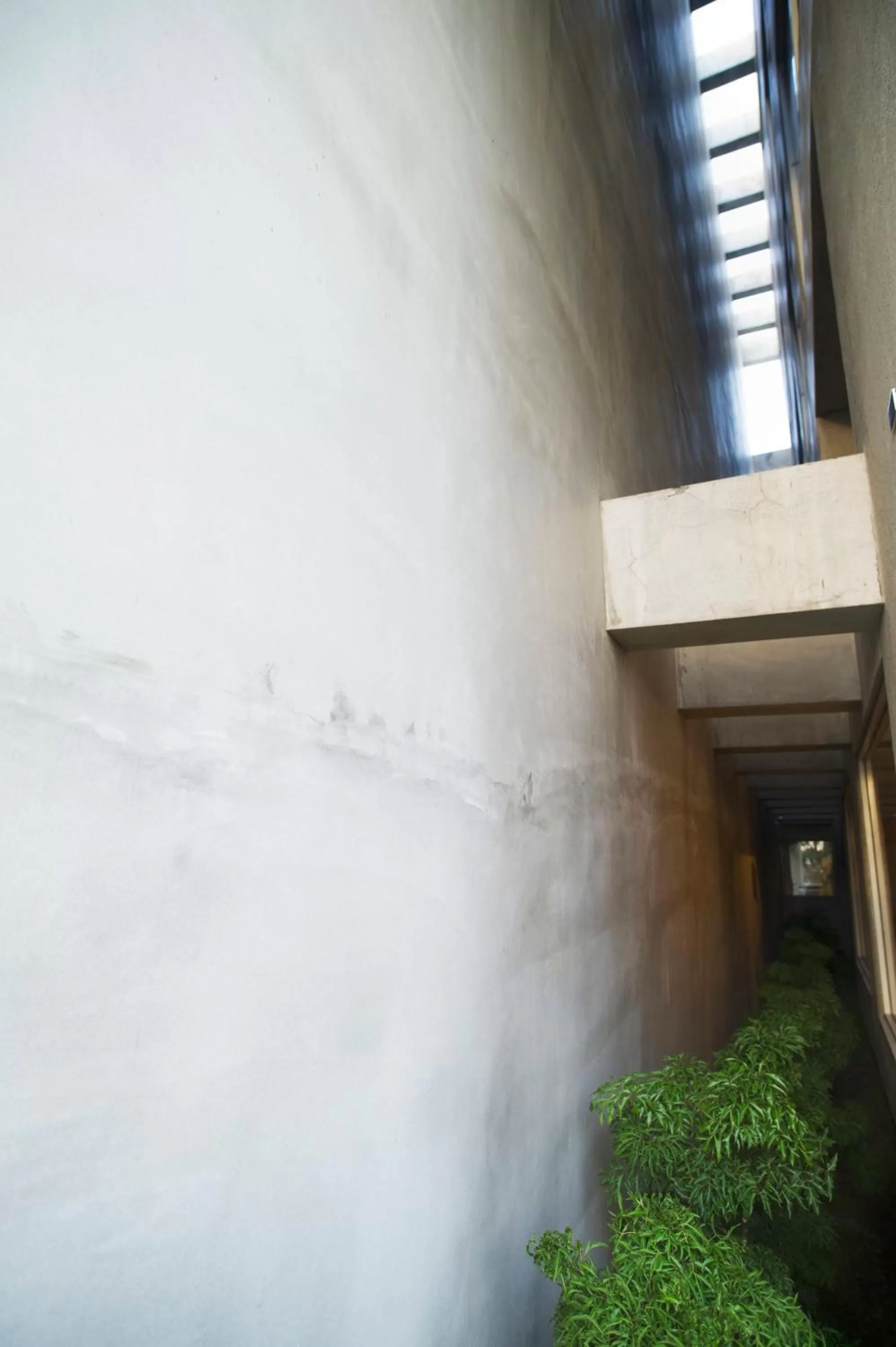 Decorative detail in FFF Hotel