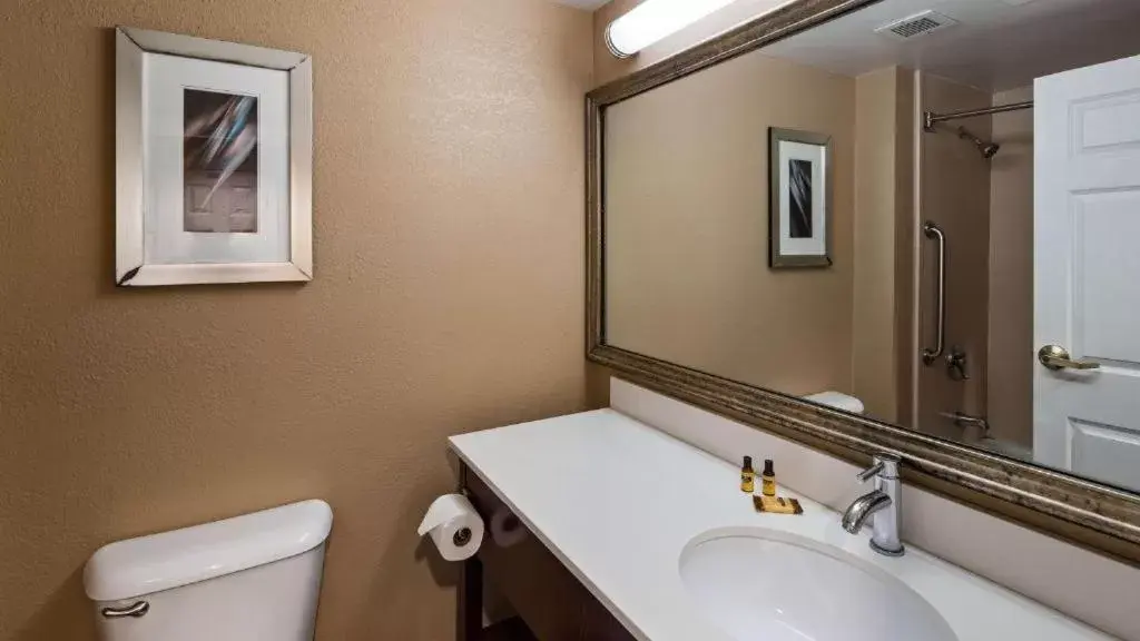 Bathroom in Best Western Plus Harrisburg East Inn & Suites