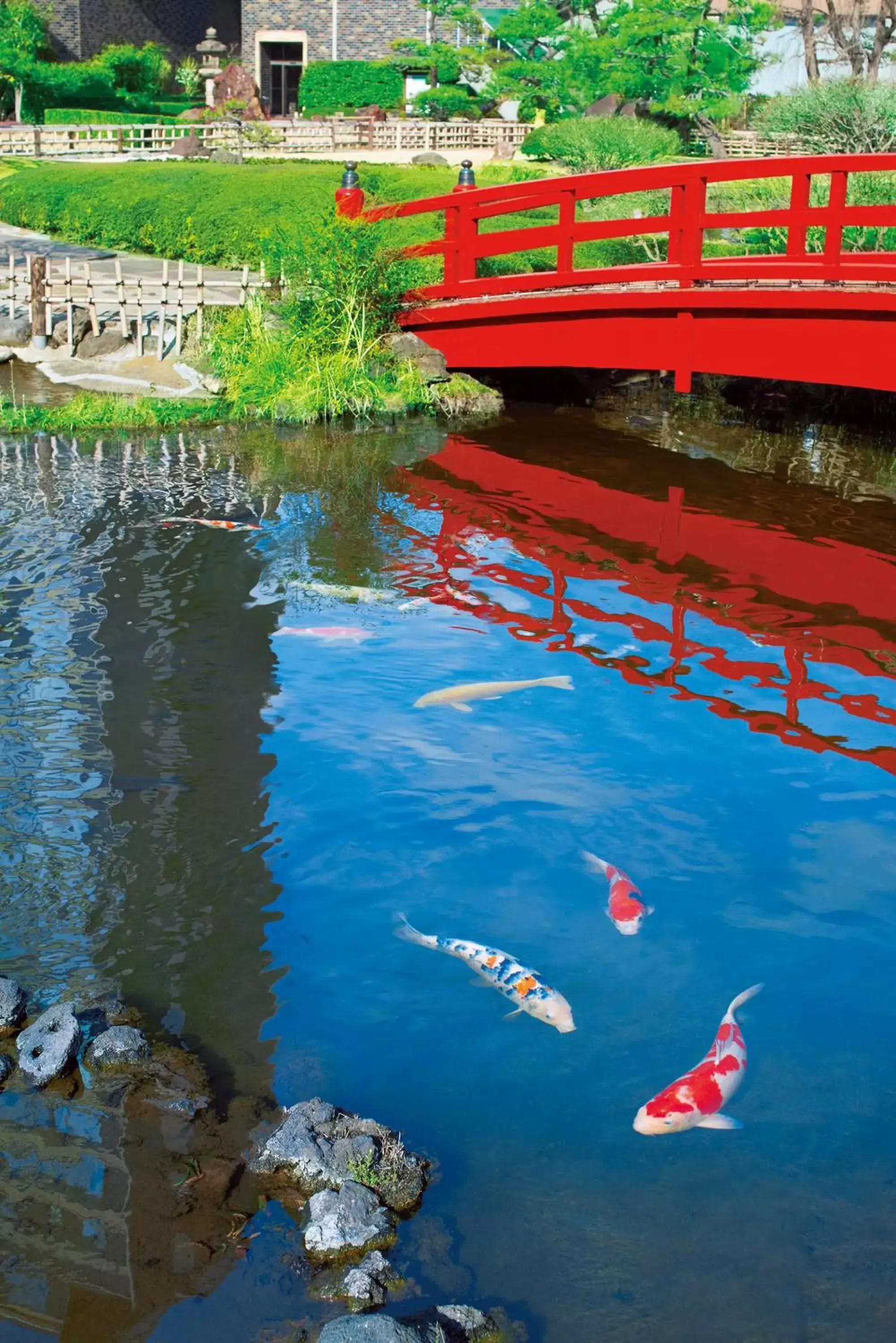 Day in Hotel New Otani Tokyo Garden Tower Day in Hotel New Otani Tokyo Garden Tower