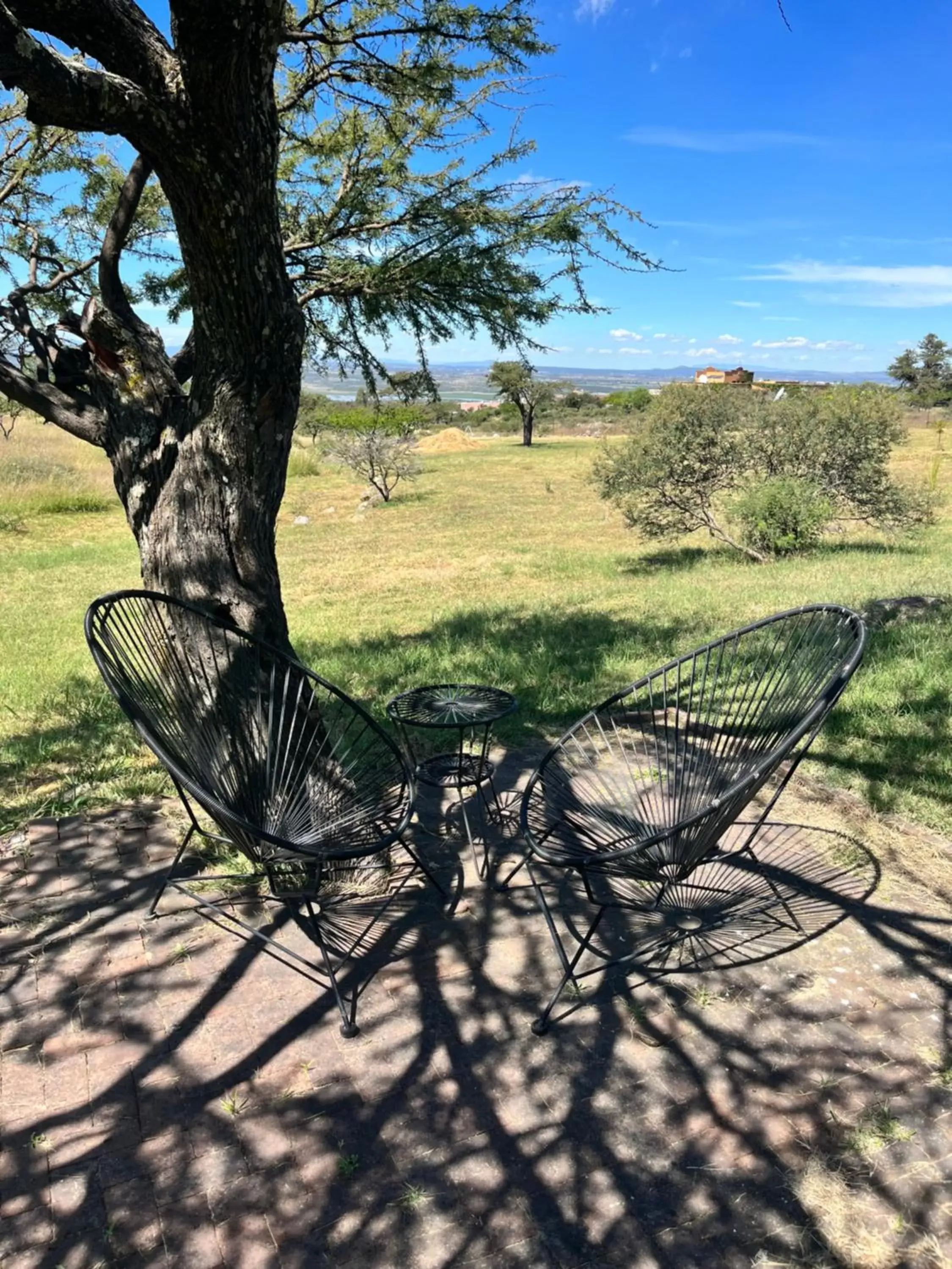 Garden in Casa Terra SMA