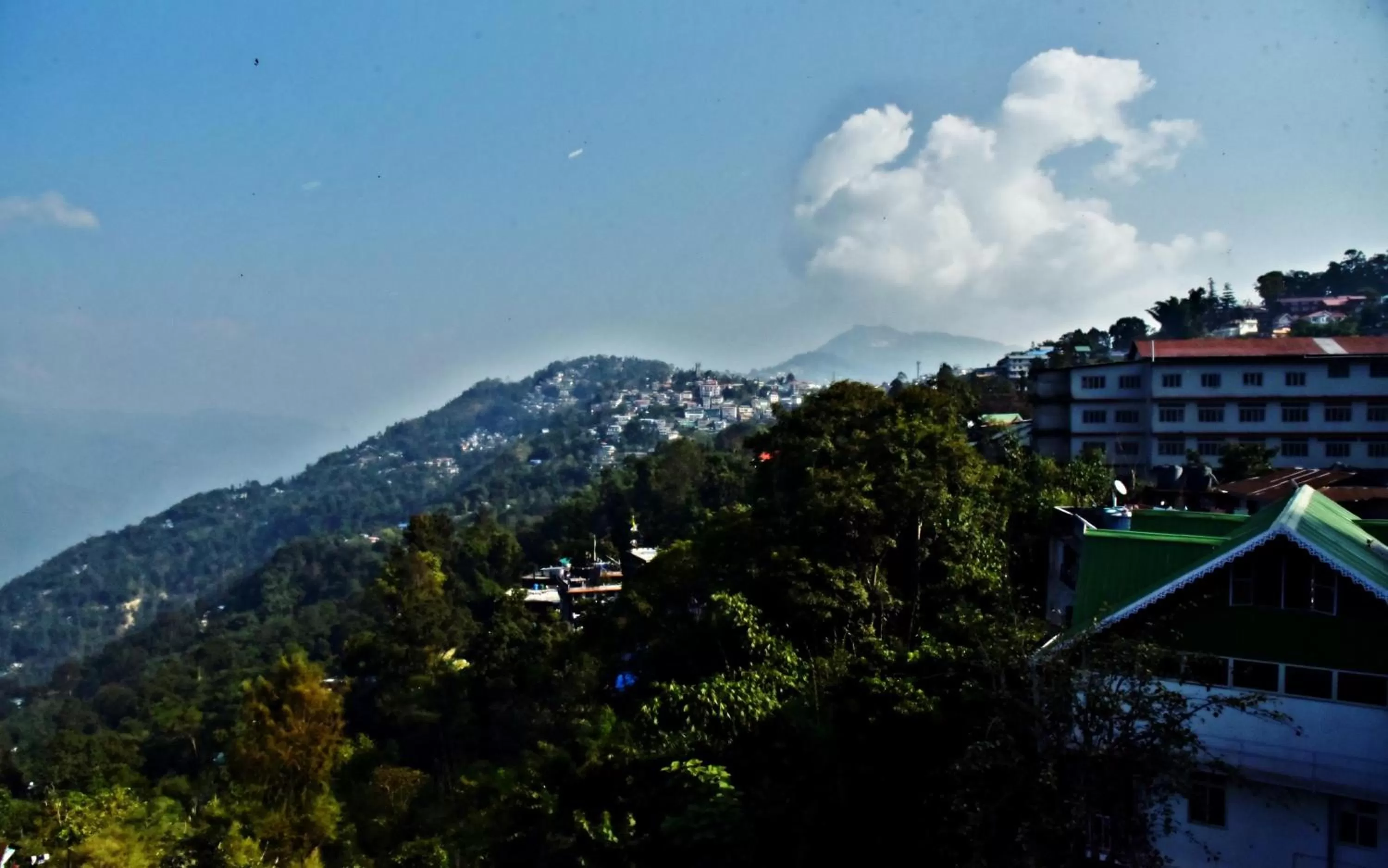 Neighbourhood in Sood's Himalayan Vista