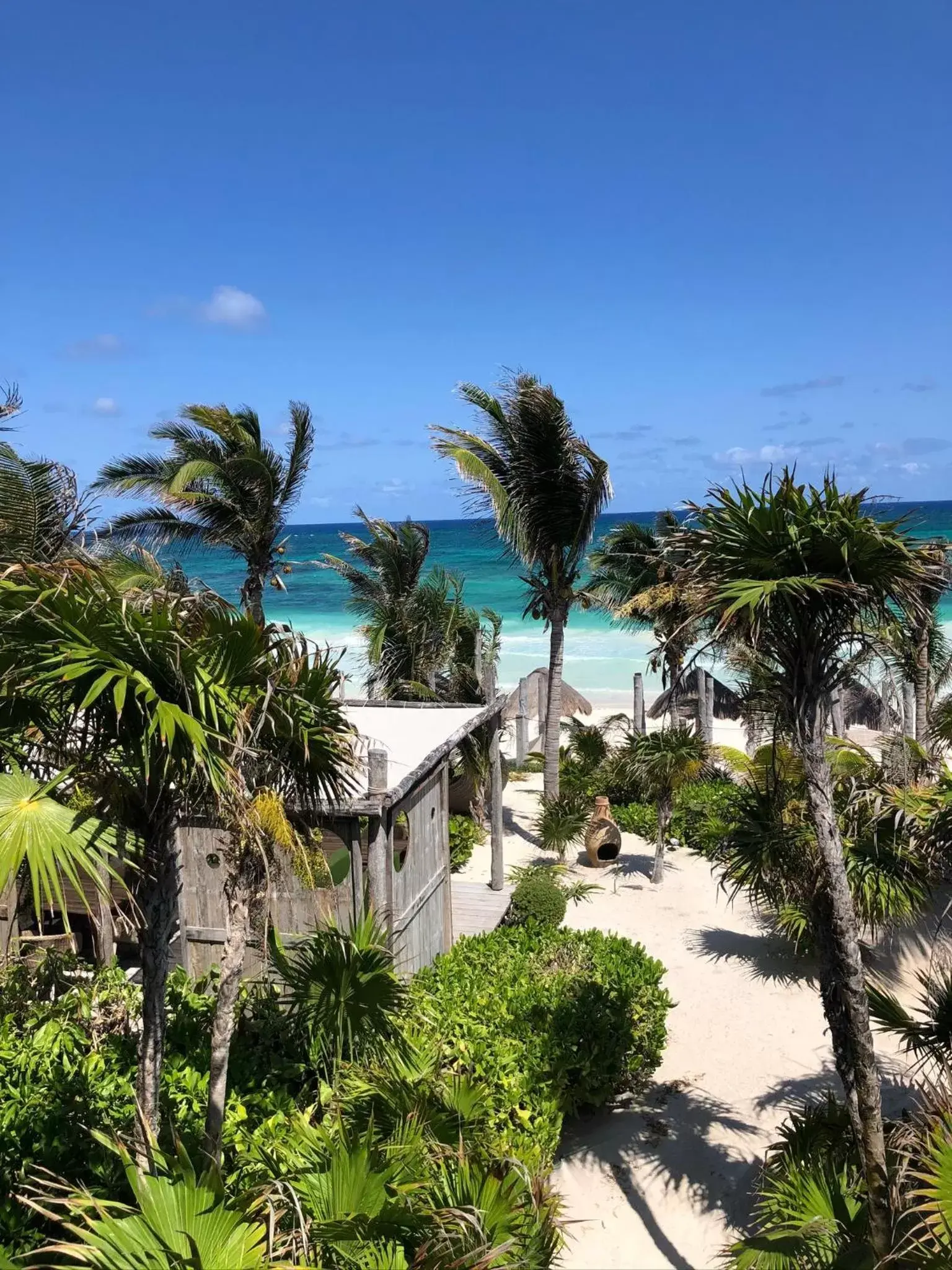 View (from property/room) in Sueños Tulum