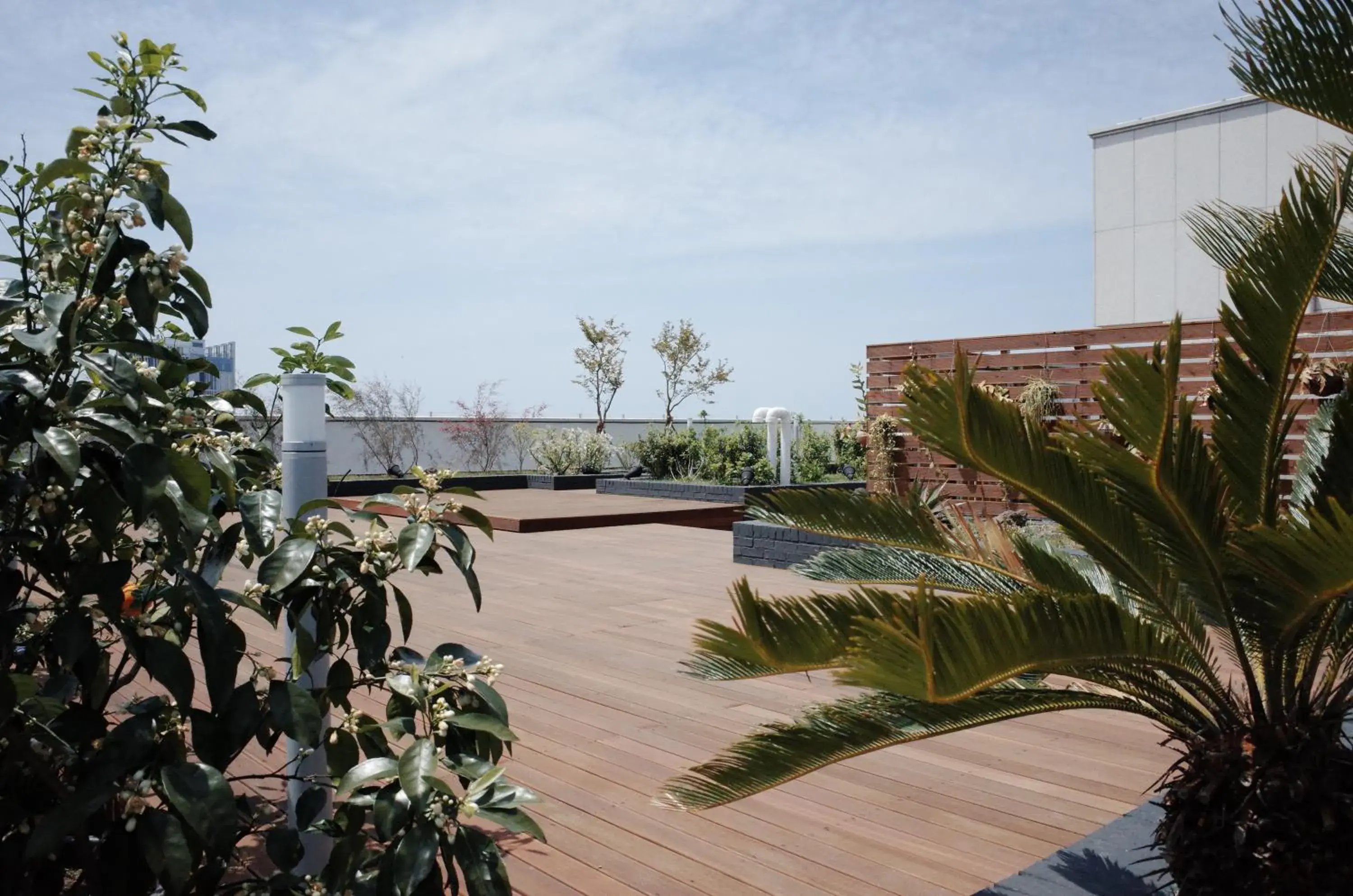 Balcony/Terrace in Hi Residences