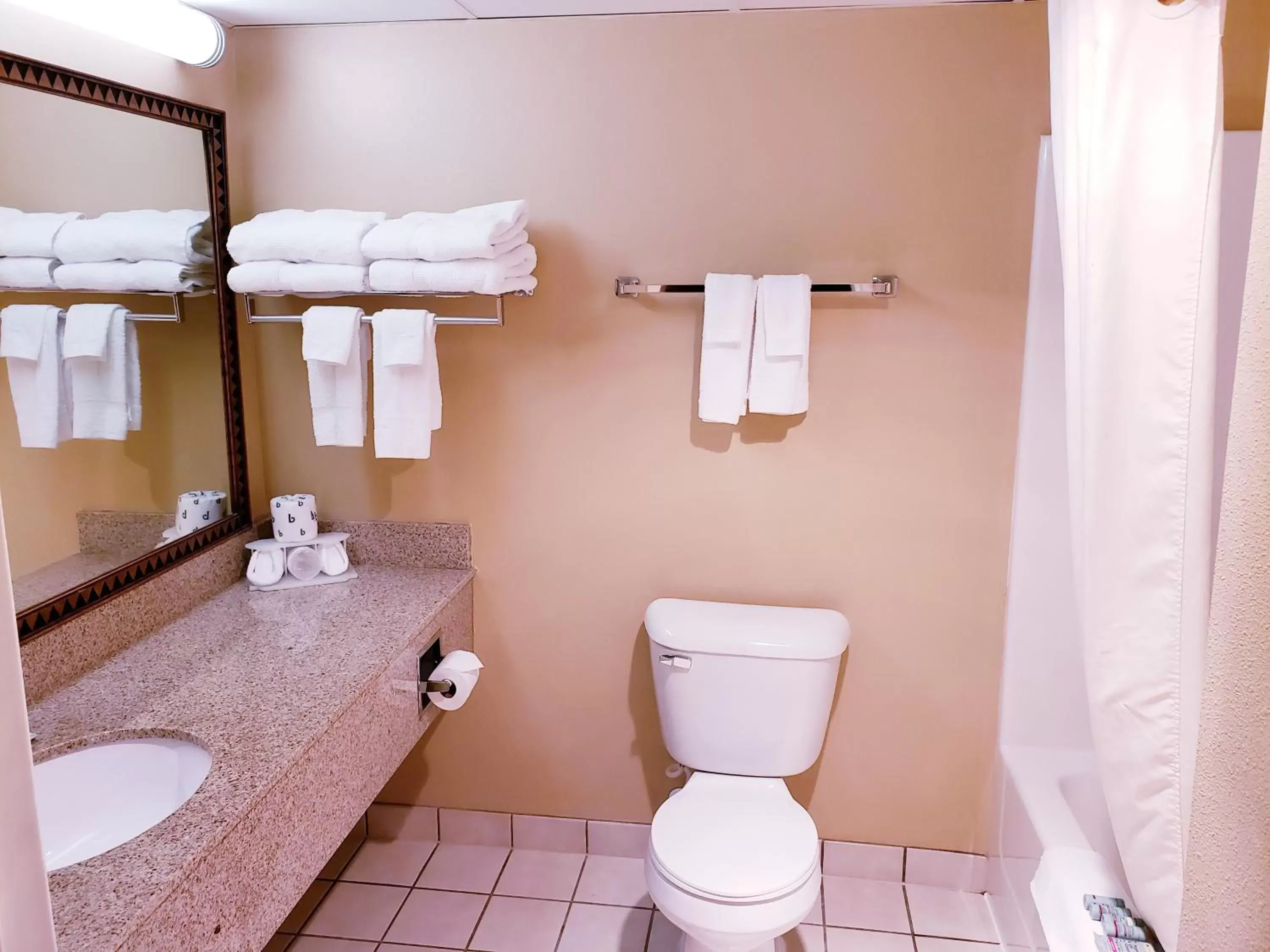 Bathroom in SureStay Plus Hotel by Best Western Black River Falls