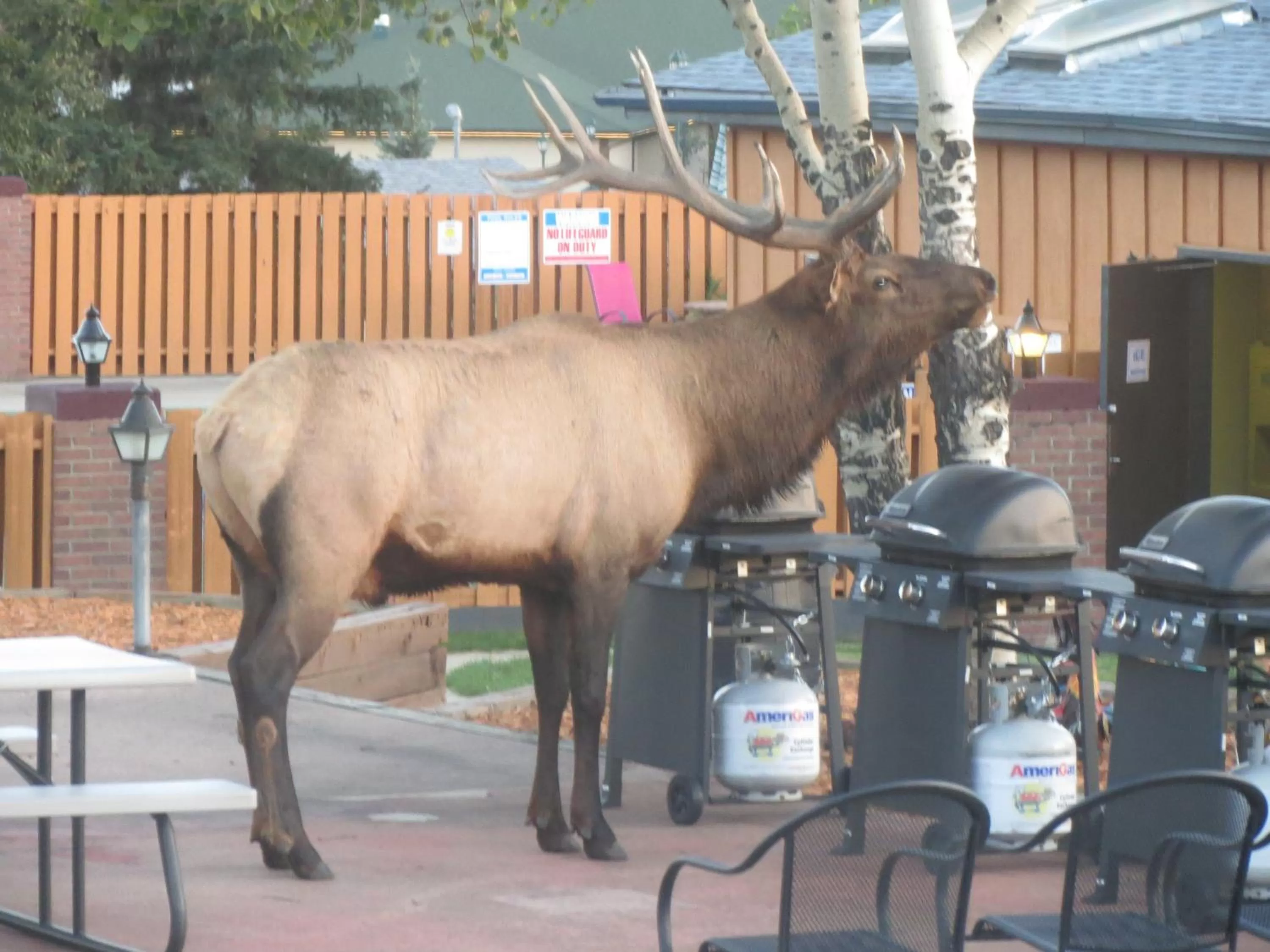 Other in Murphy's Resort