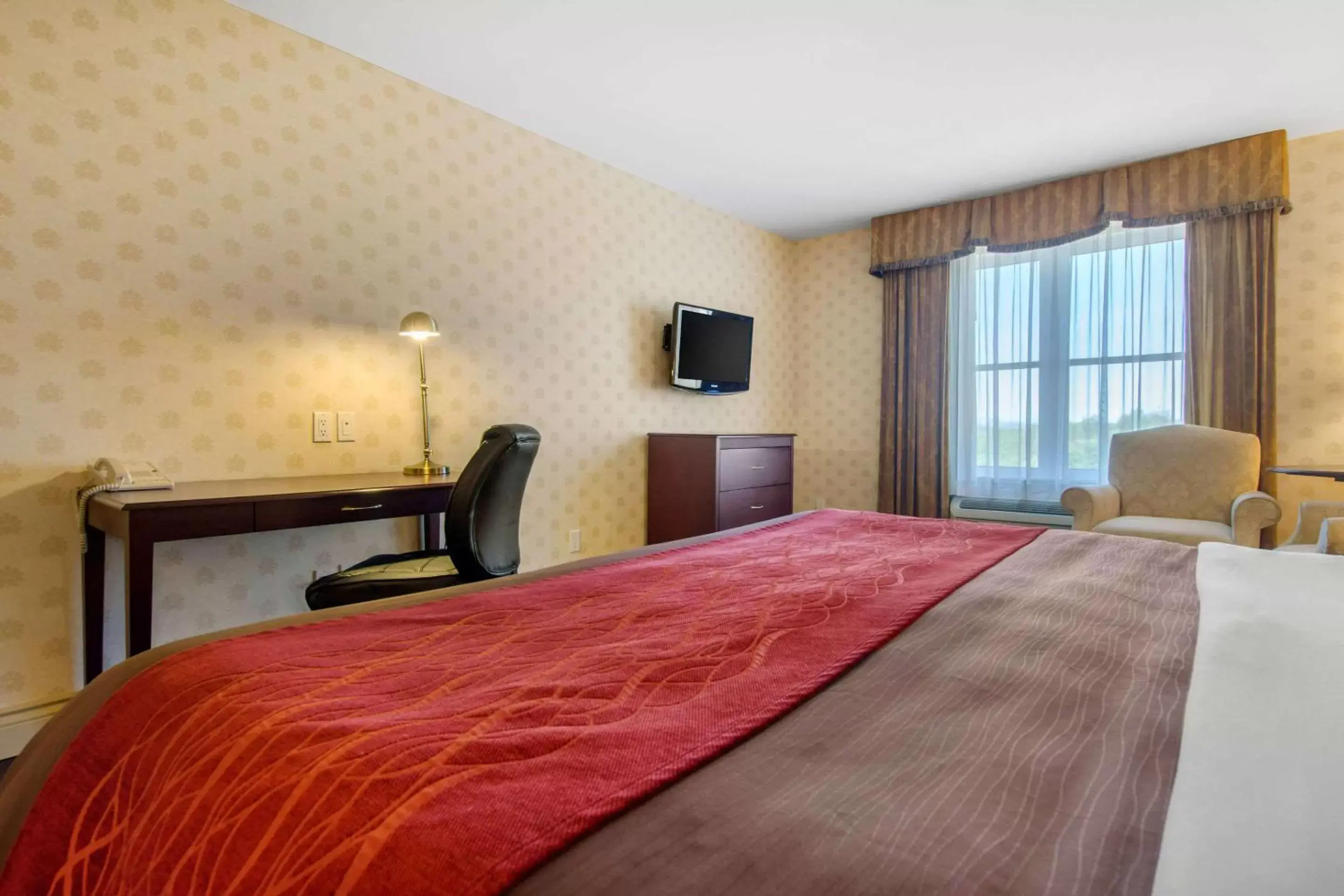Photo of the whole room, Bed in Comfort Inn & Suites Levis / Rive Sud Quebec city