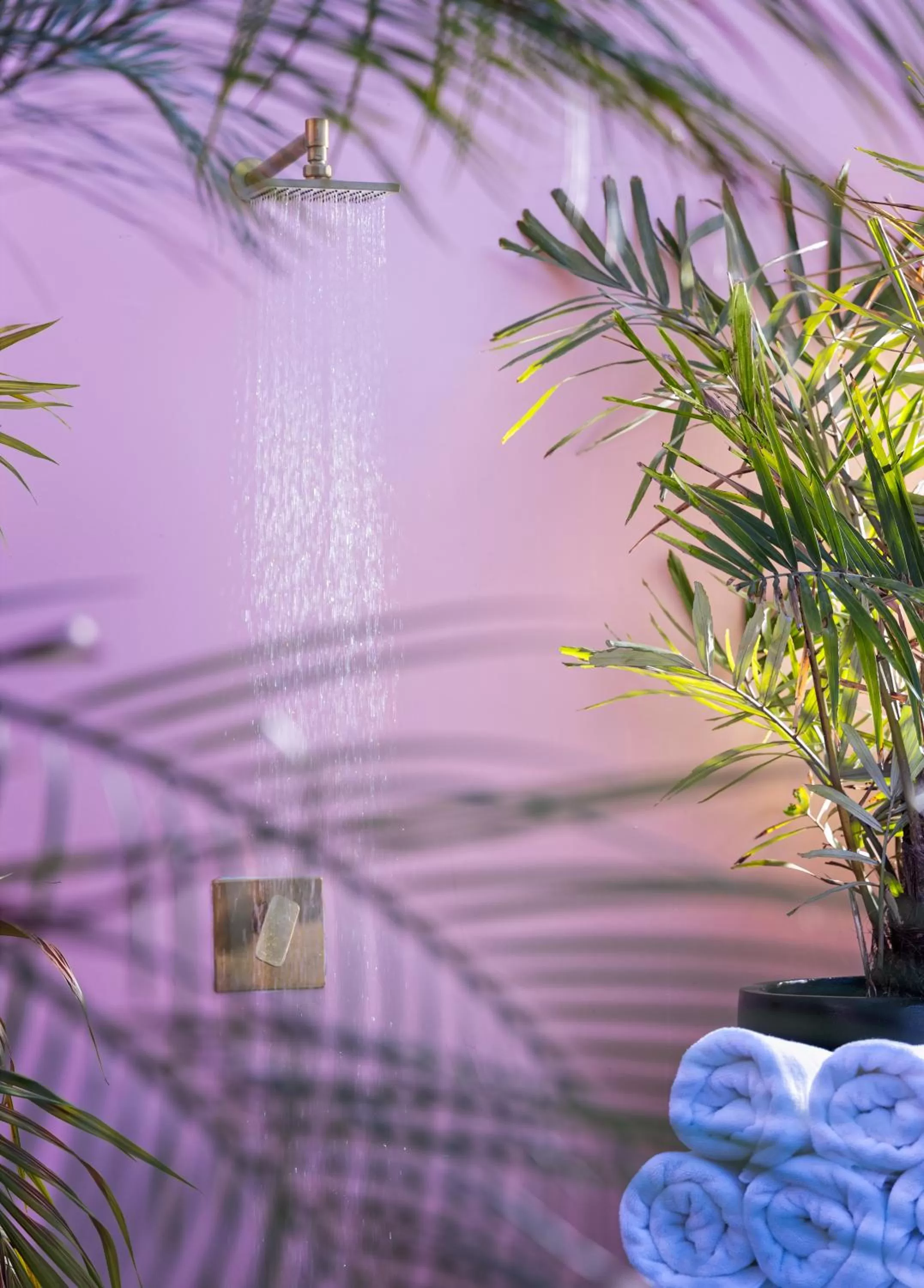 Activities in Brown BoBo, a member of Brown Hotels