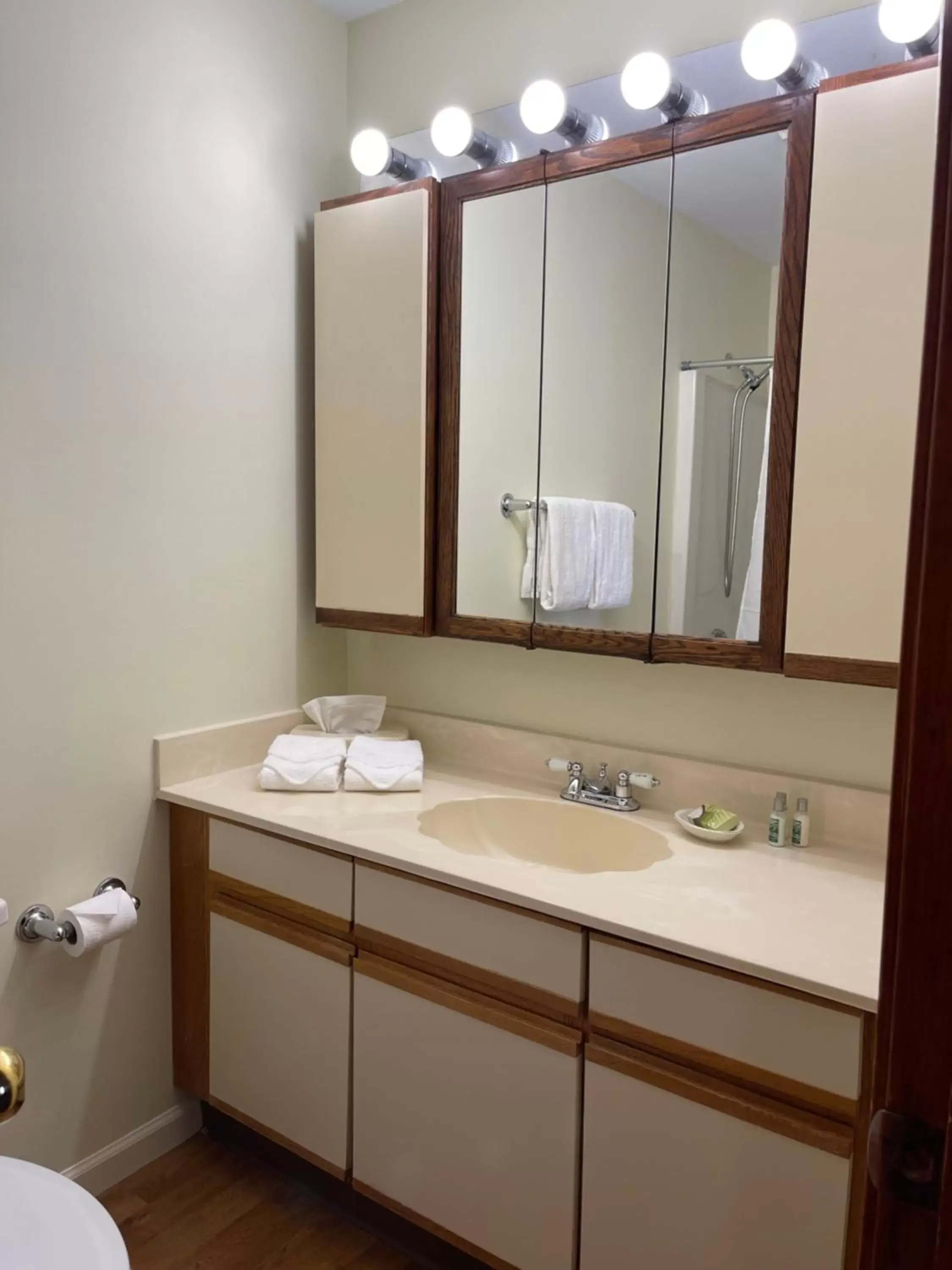 Bathroom in The Central Downtown Inn Suites