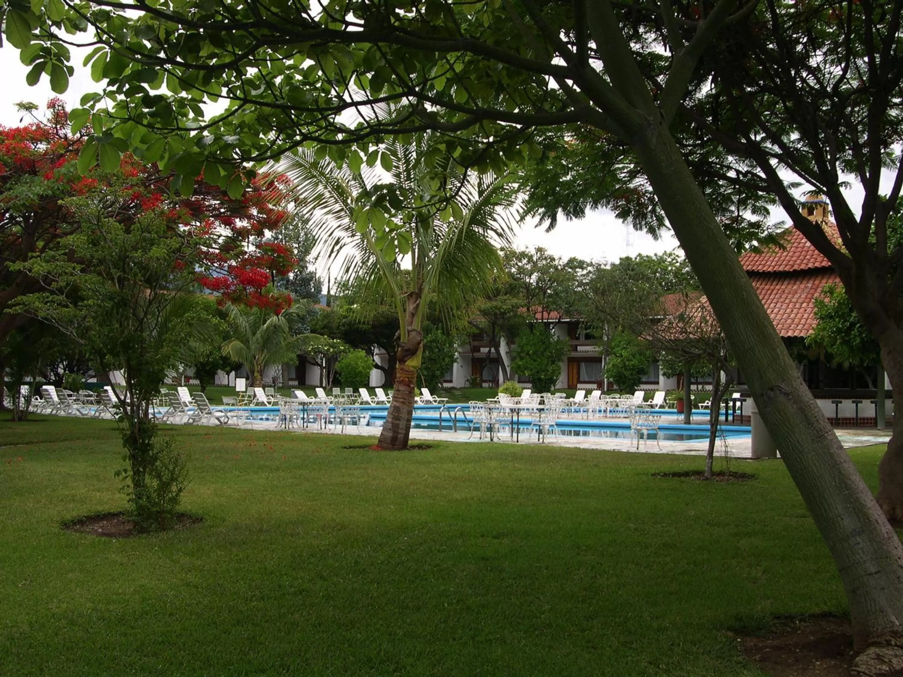 Garden in Mision De Los Angeles