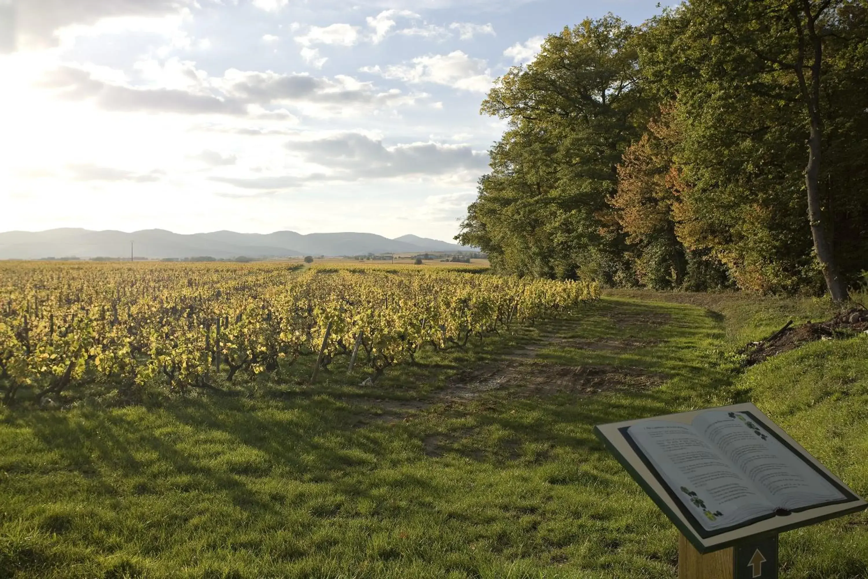 Nearby landmark in Château de Pizay