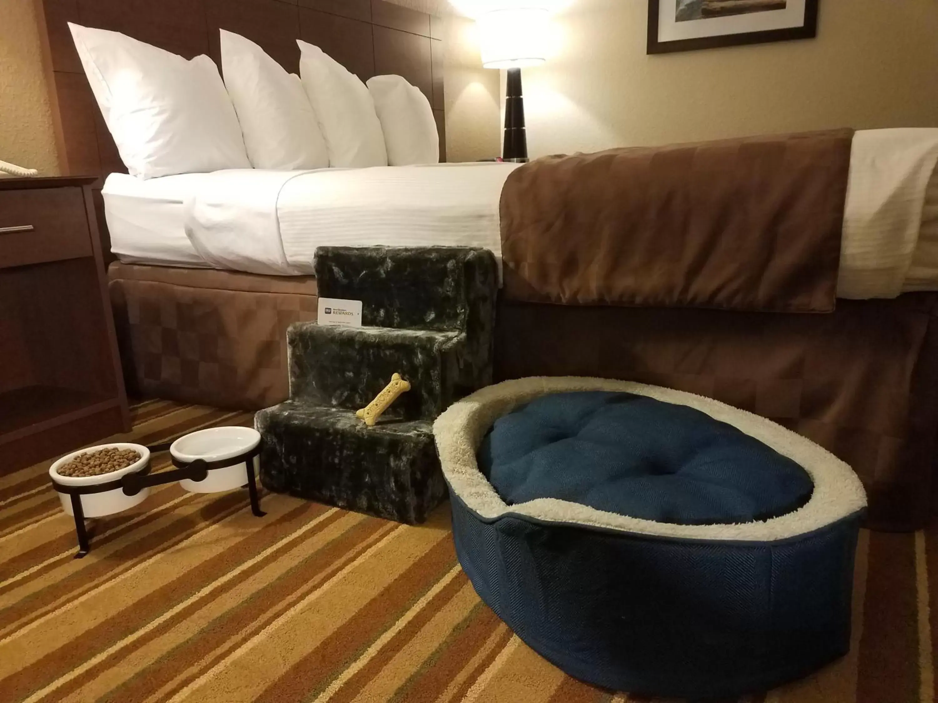 Pets, Seating Area in Best Western Regency Inn