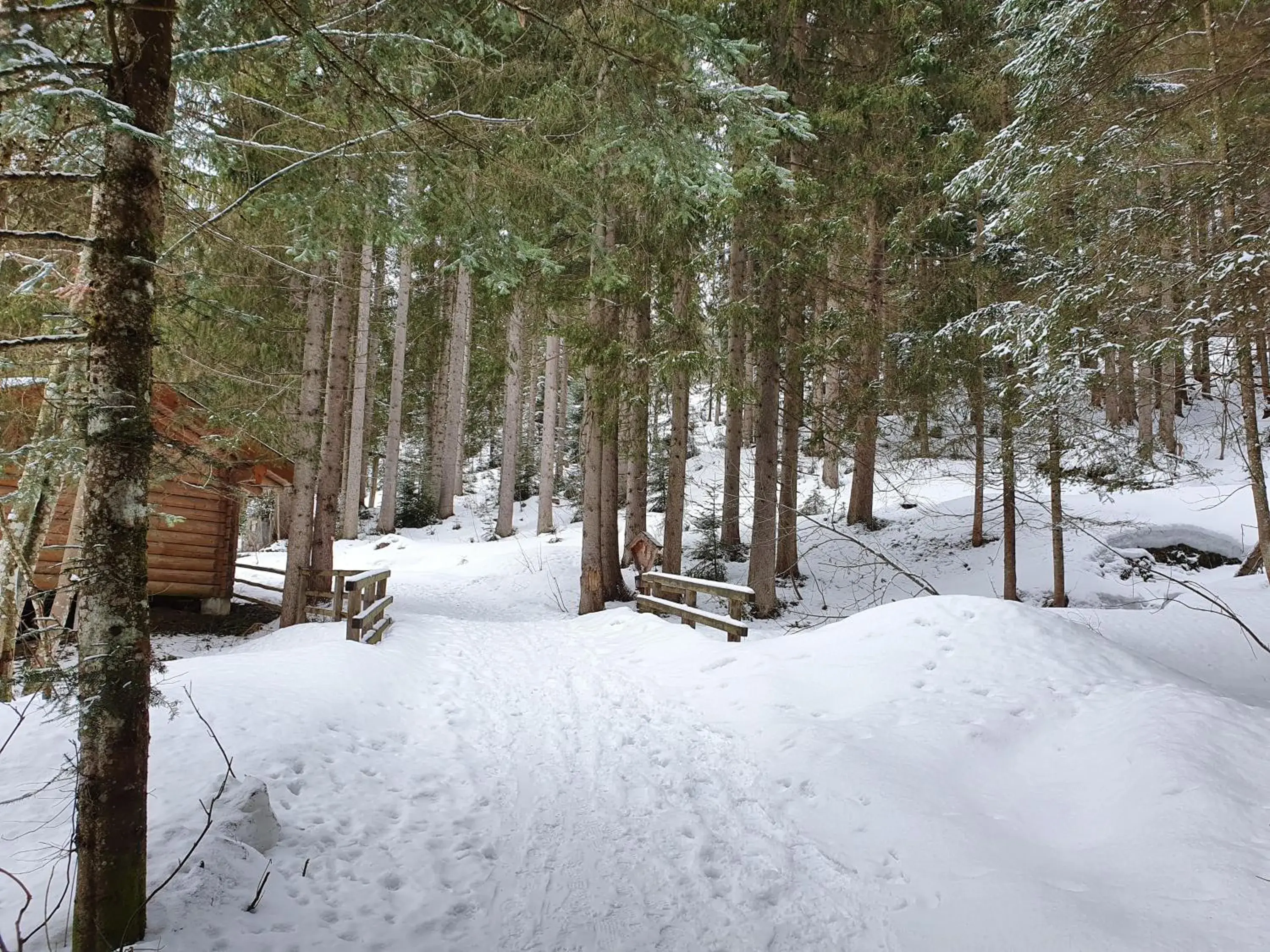 Nearby landmark, Winter in Alpenhof