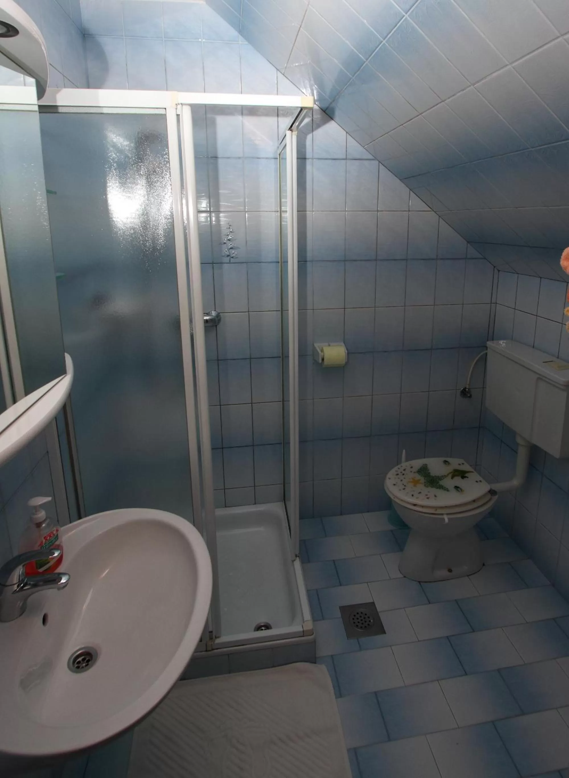 Bathroom in Rooms & Apartments Jana