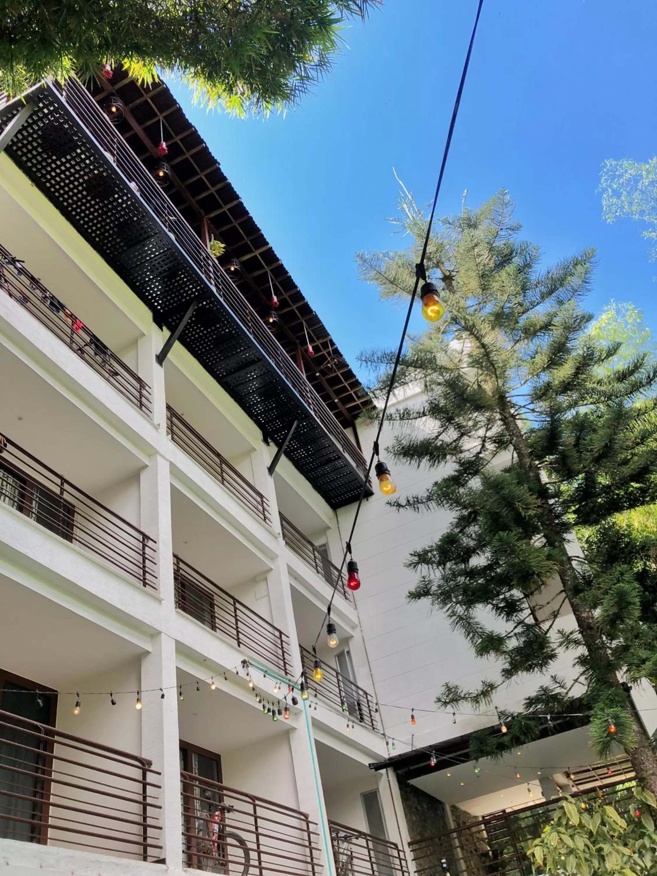 Facade/entrance, Property Building in Hotel Bambu Inn