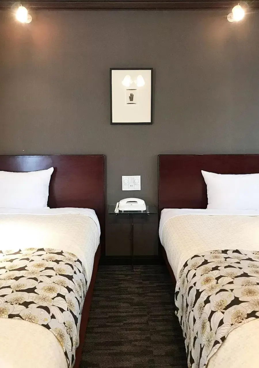 Twin Room - single occupancy - Smoking in Hotel Okus