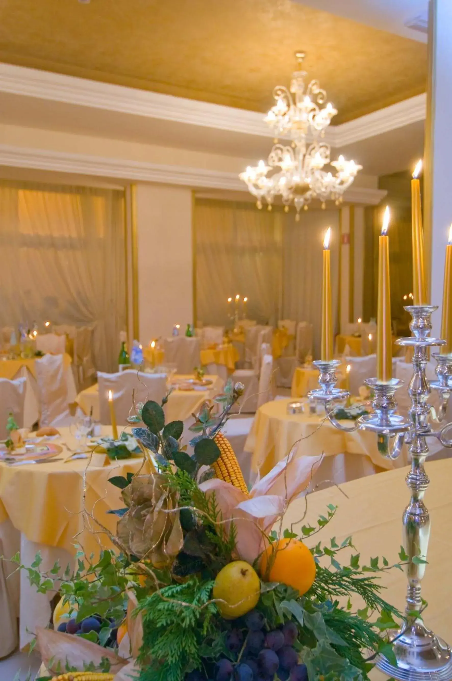 Restaurant/places to eat, Banquet Facilities in Hotel Terme Principe