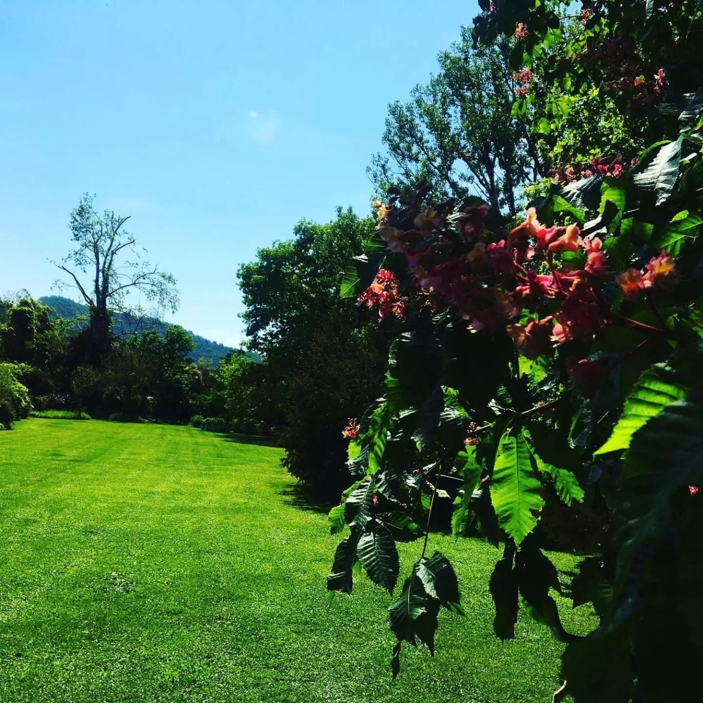 Garden view, Garden in La Valle B&B