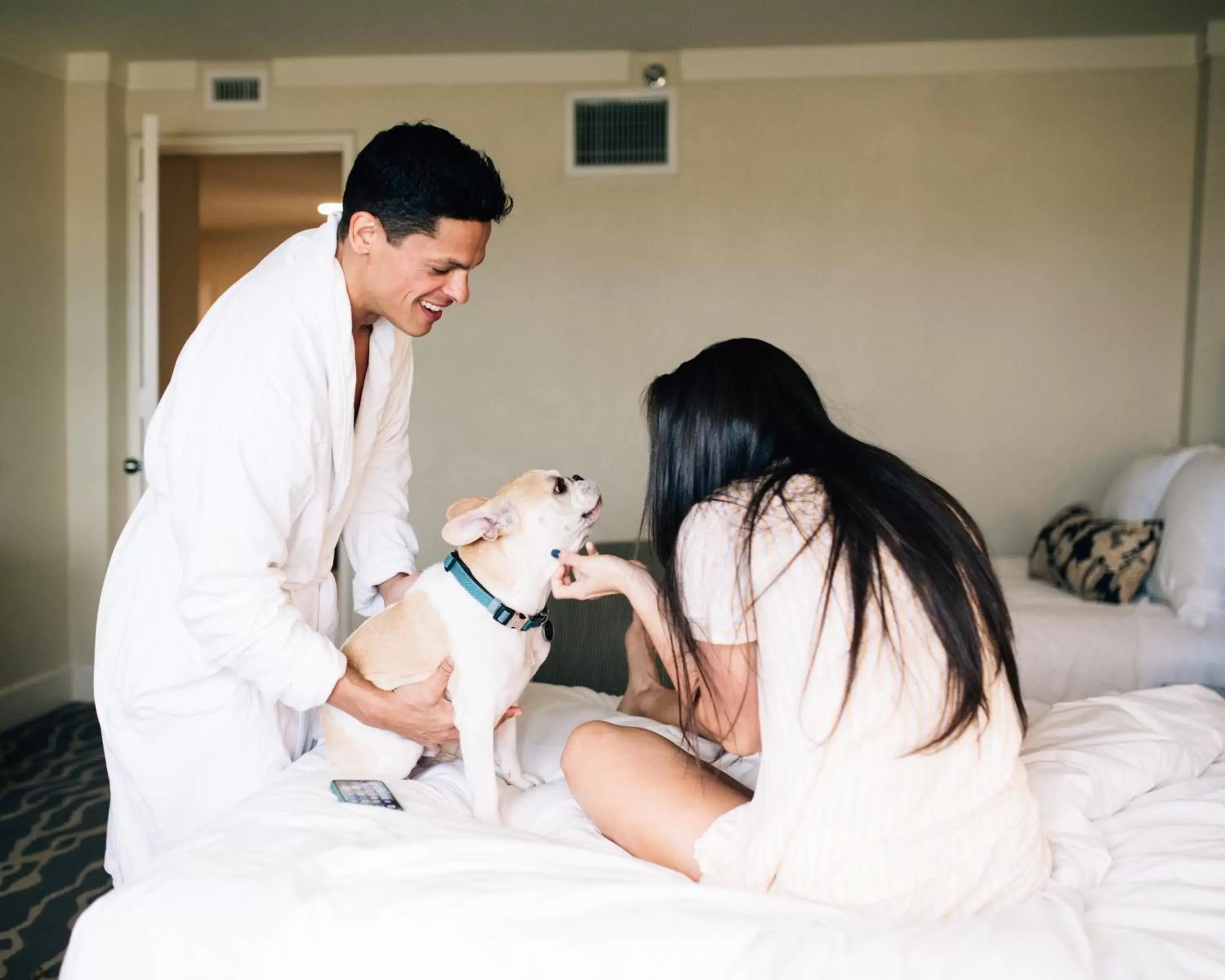 Pets, Family in InterContinental Miami, an IHG Hotel