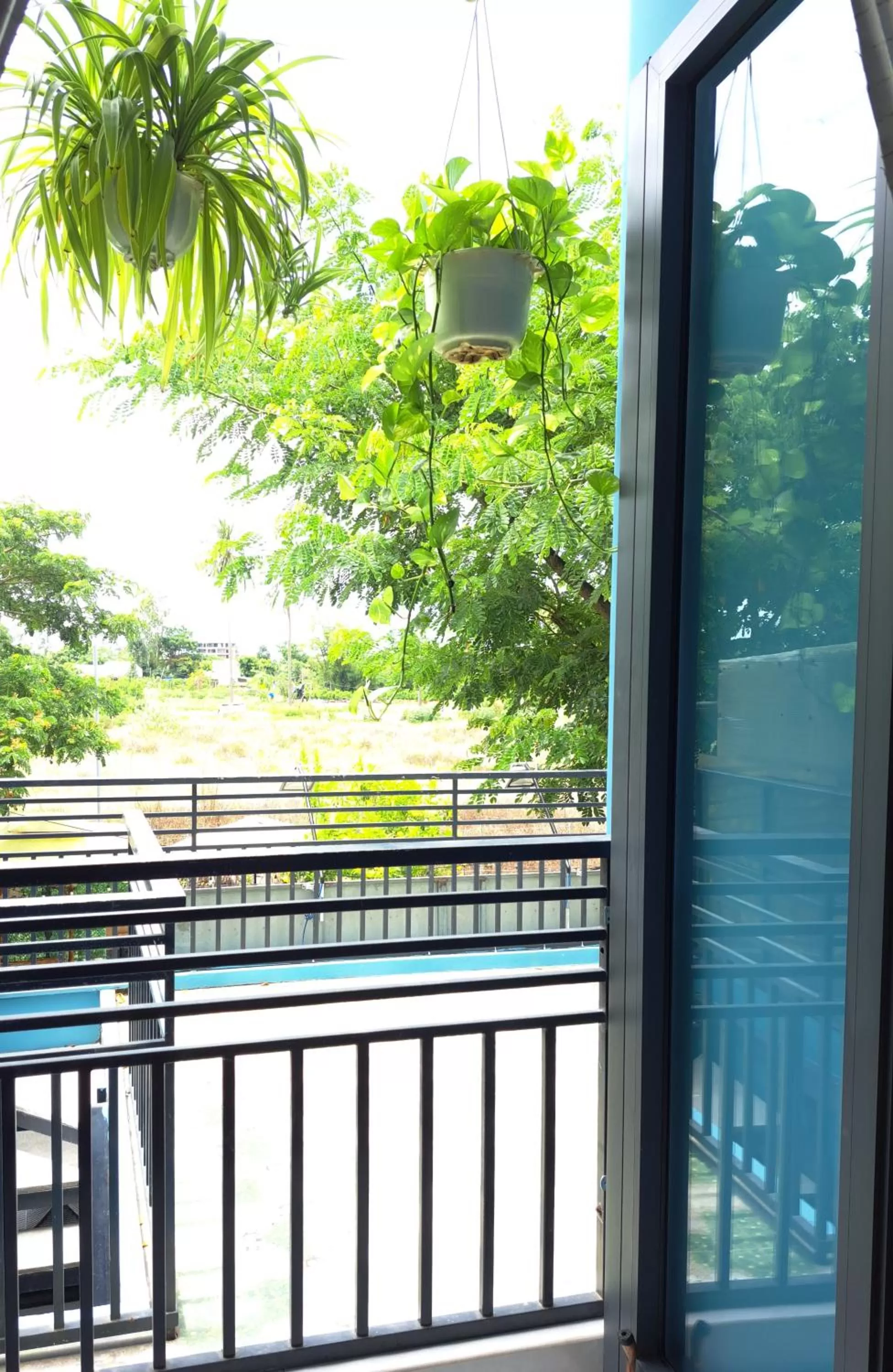 View (from property/room) in GREEN TOWN hotel HỘI AN