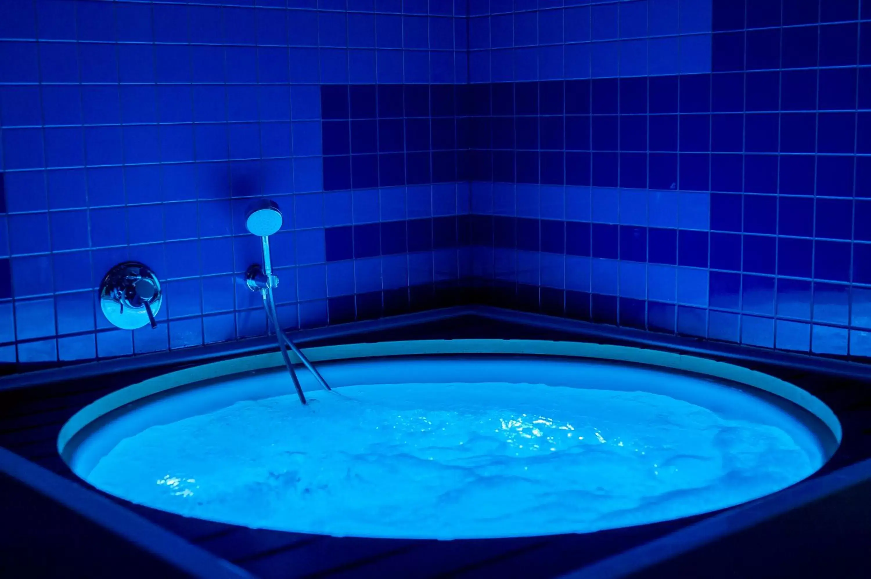 Hot Tub, Swimming Pool in Copernicus Toruń Hotel