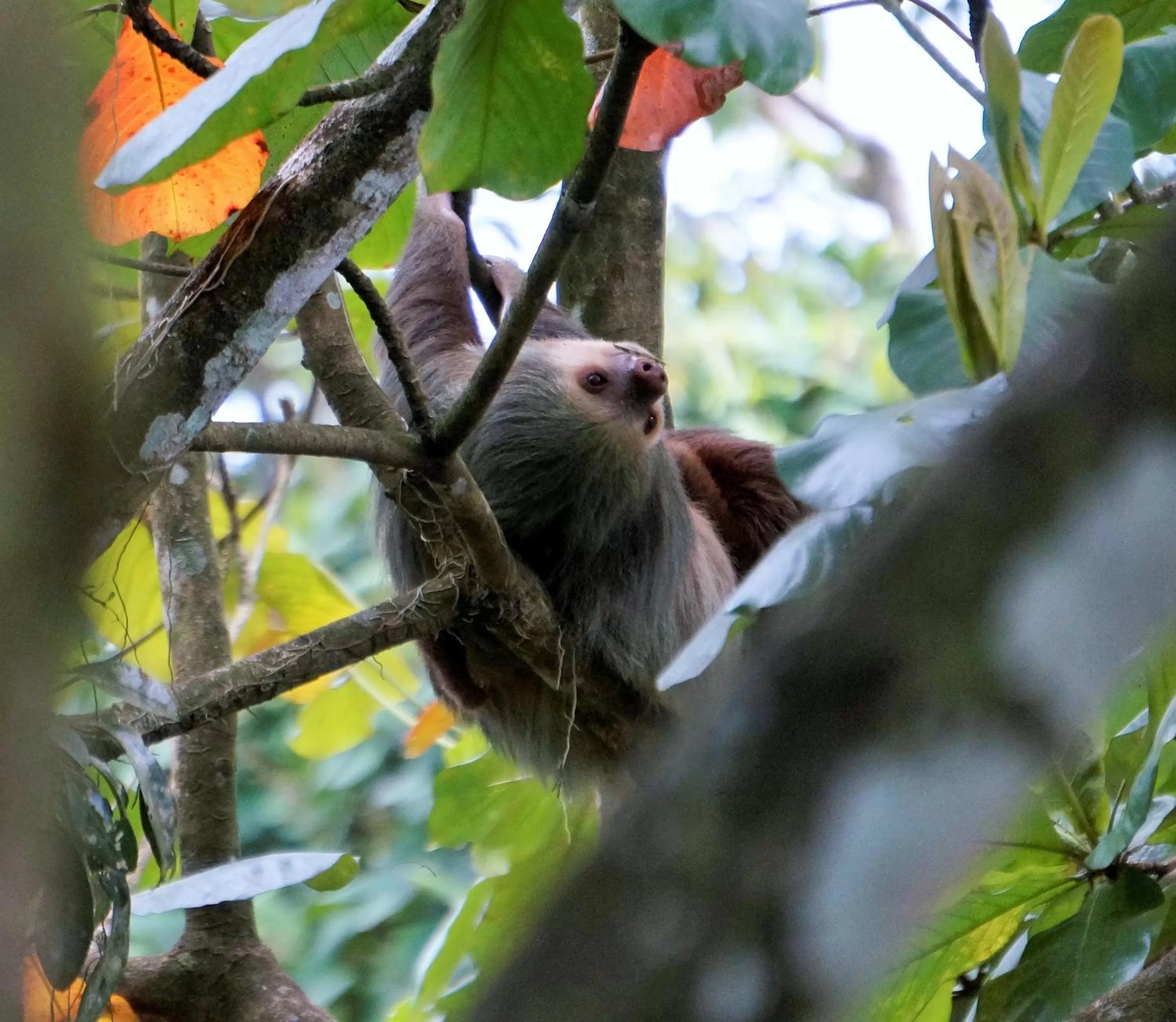 Area and facilities in Hotel Monte Real