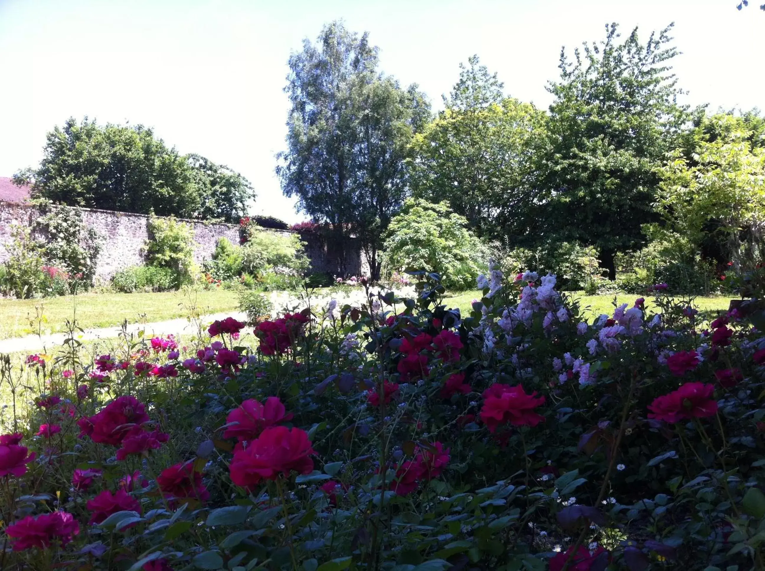 Garden in Le Clos de La Muse