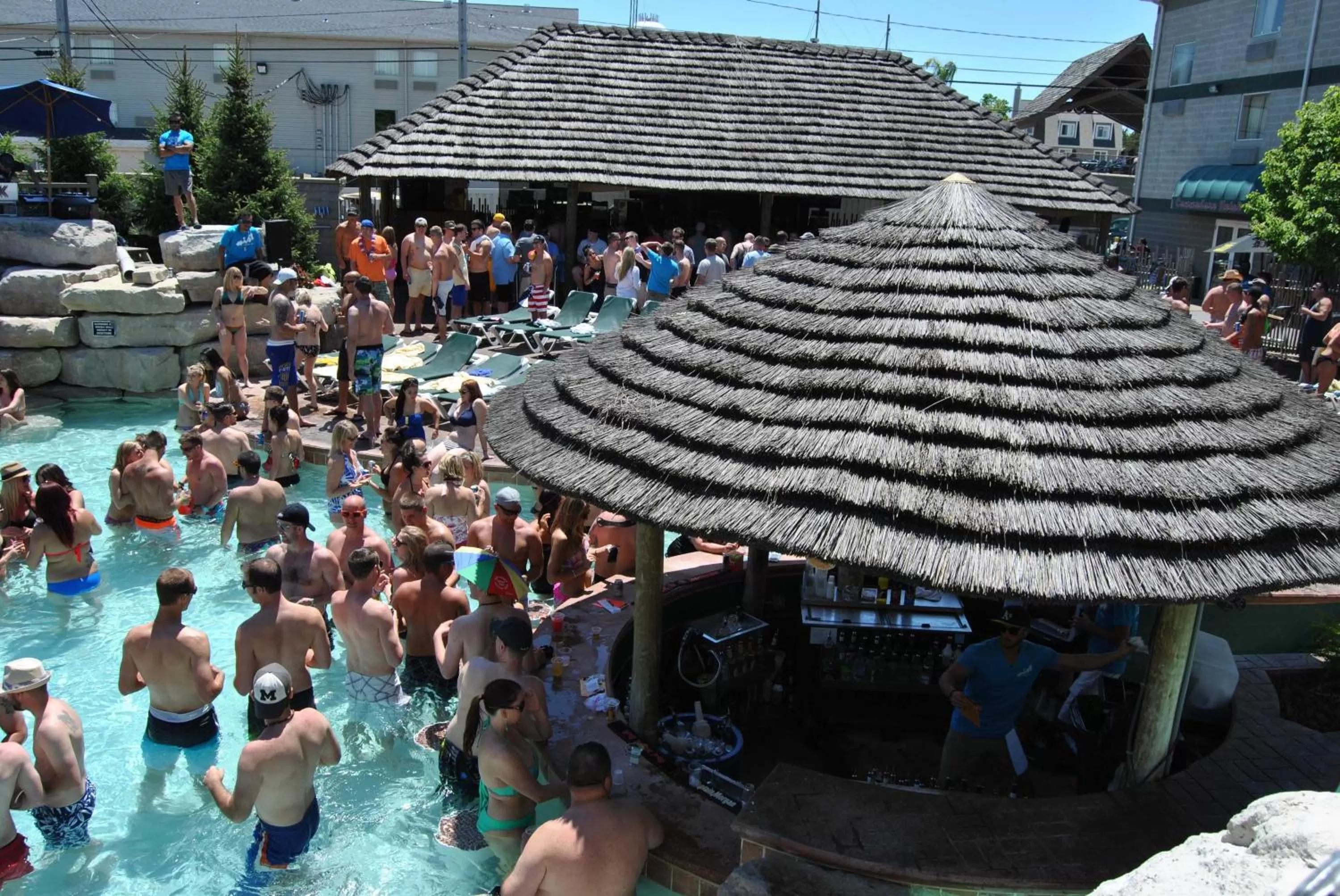Swimming pool, Guests in Commodore Resort