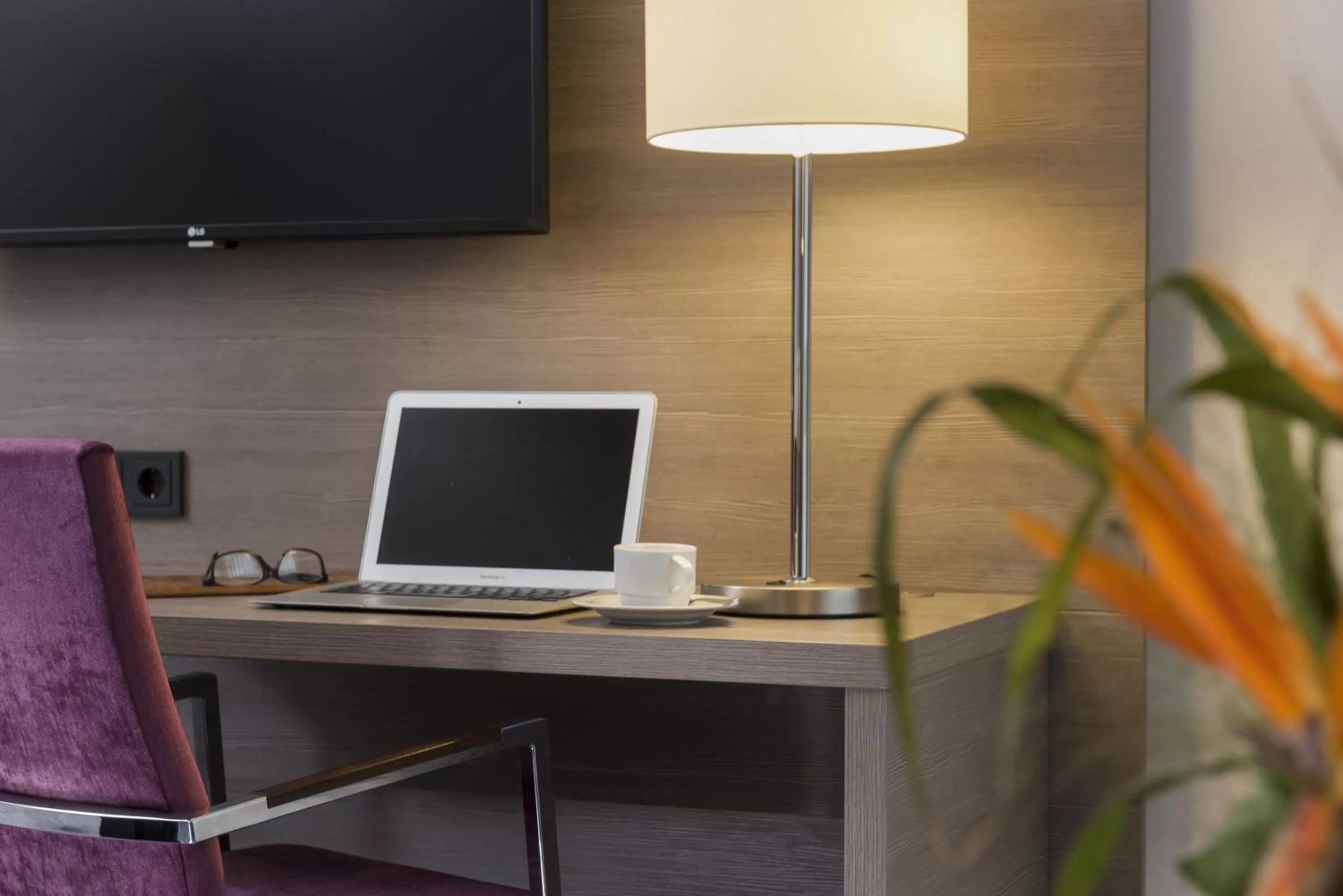 TV and multimedia in Maritim Hotel Königswinter