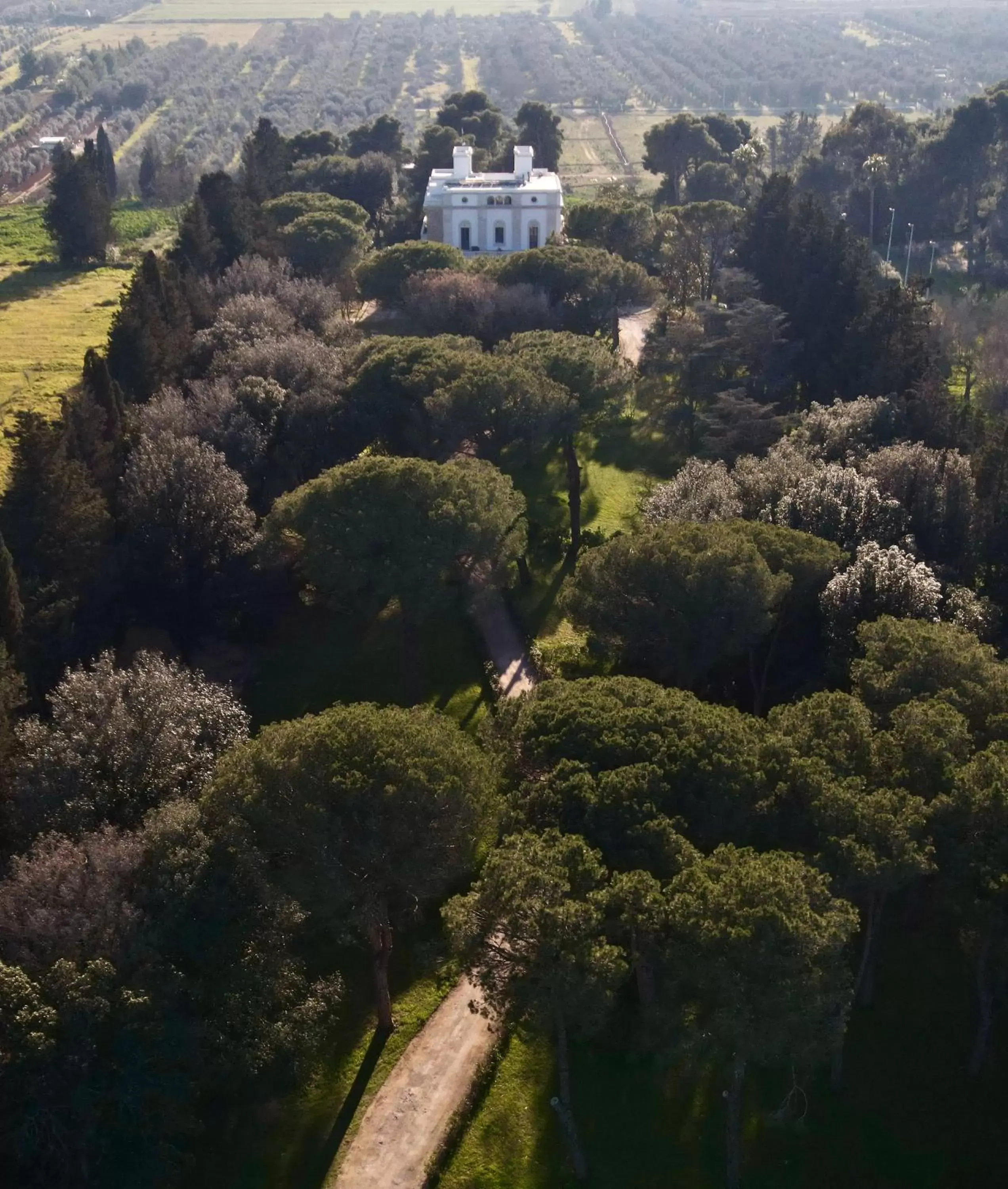 Property building, Bird's-eye View in SA Suites