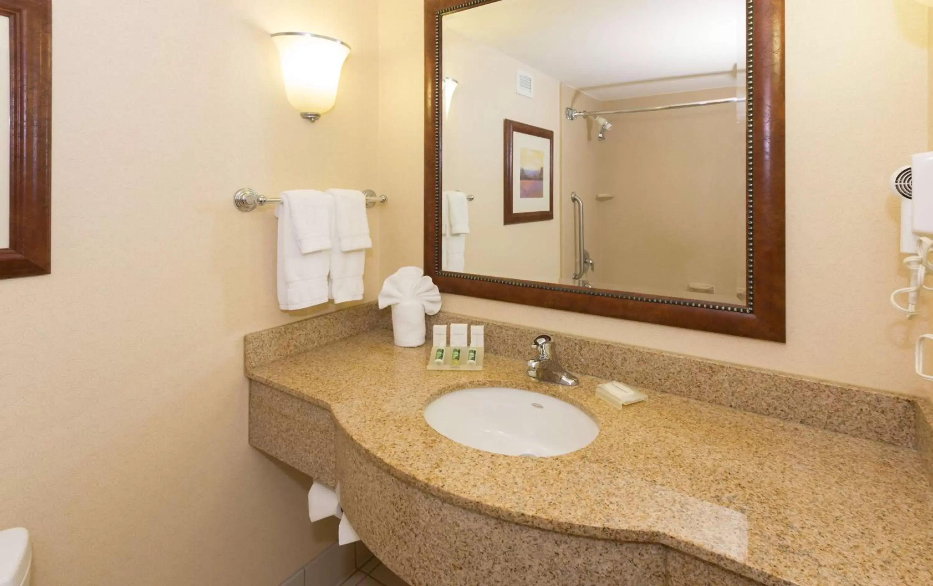 Bathroom in Hilton Garden Inn Buffalo Airport