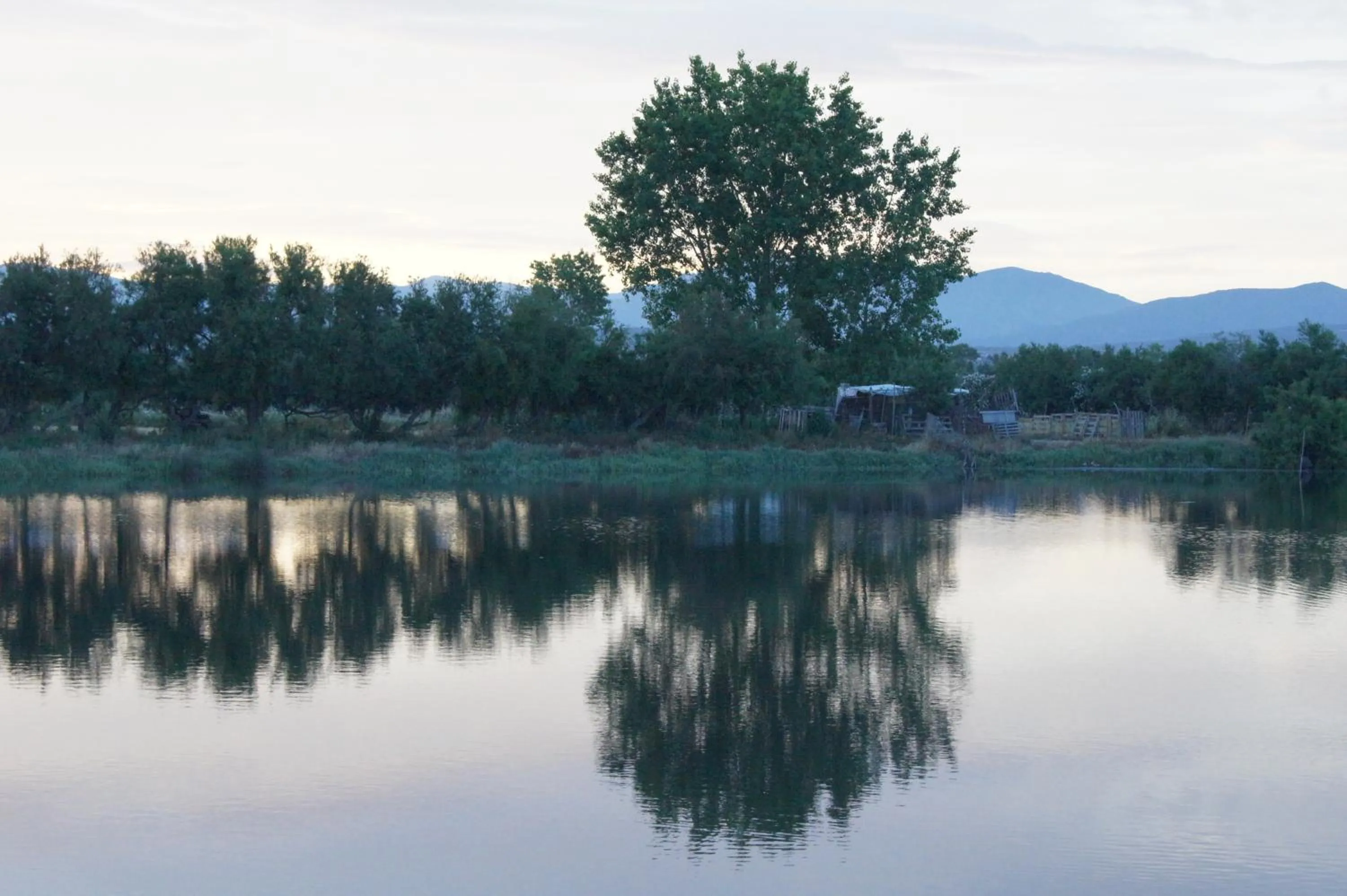 Area and facilities in Albergo Residenziale Gli Ontani