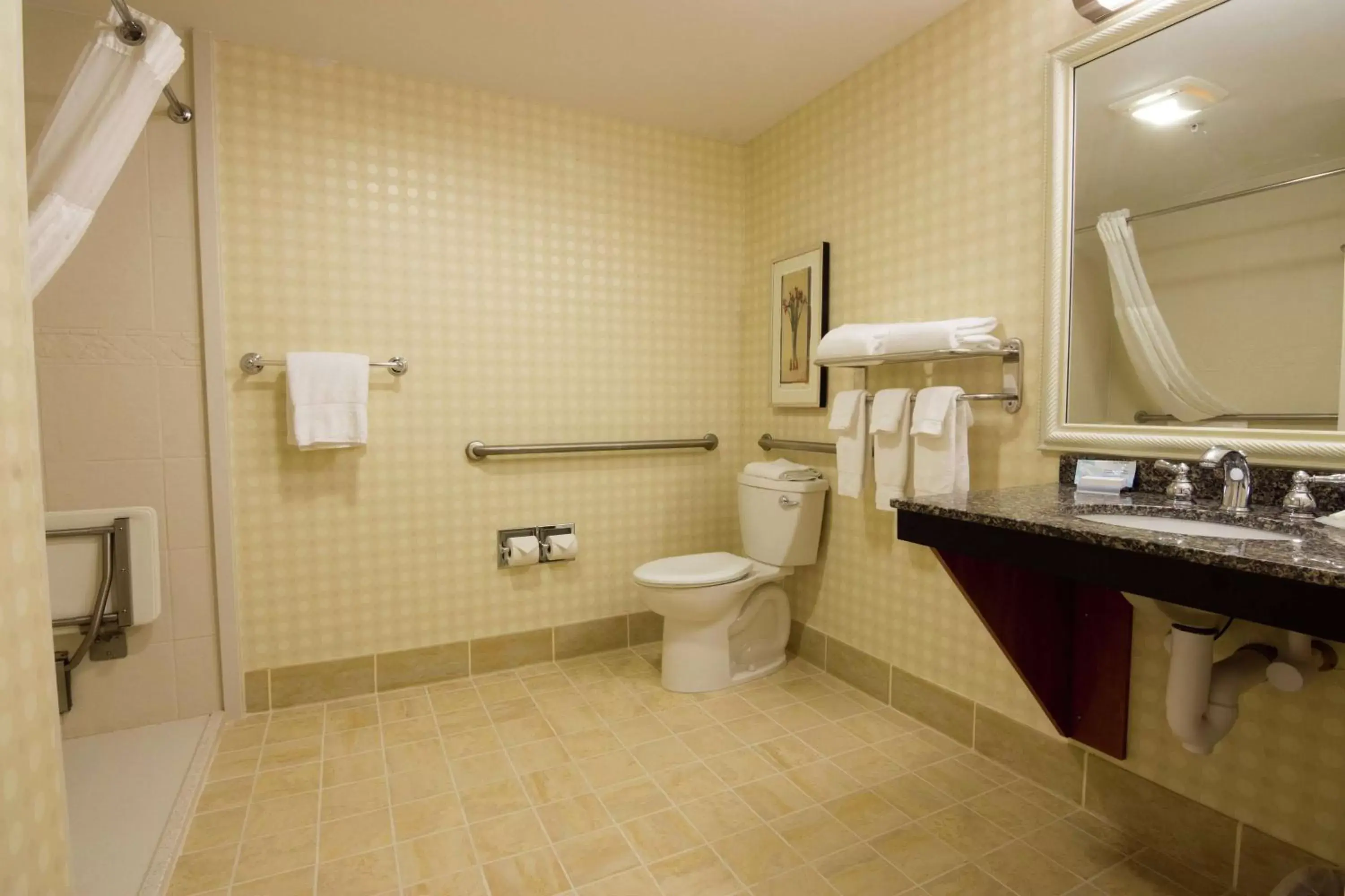 Bathroom in Hilton Garden Inn Bangor