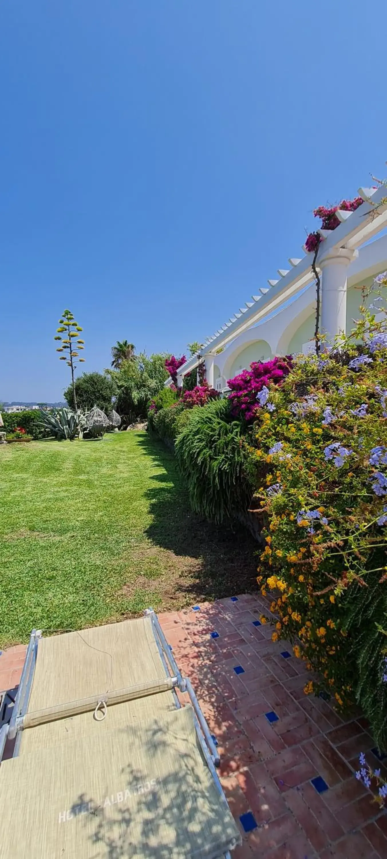 Garden in Hotel Albatros