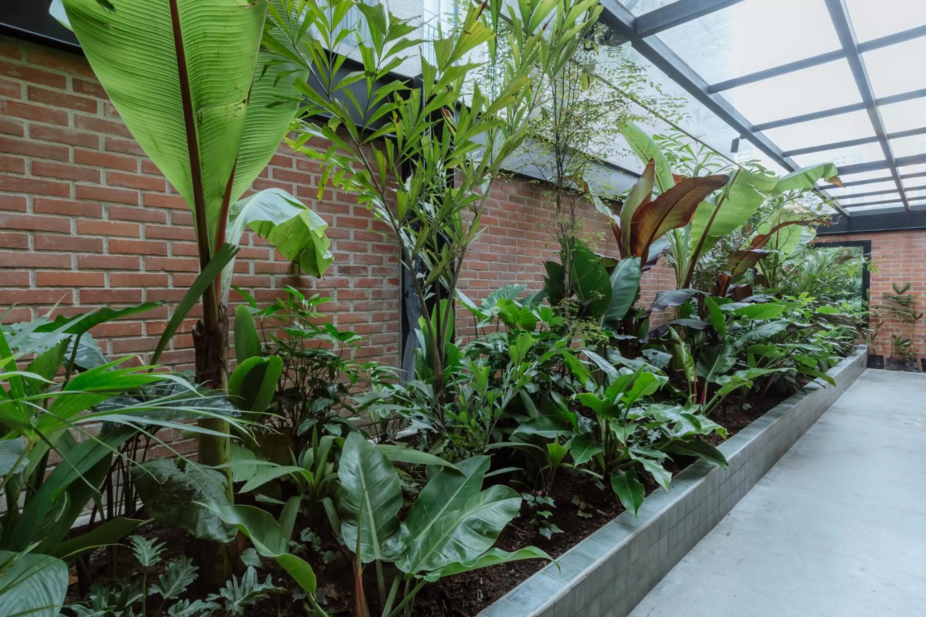 Patio in The Art Hotel Medellin