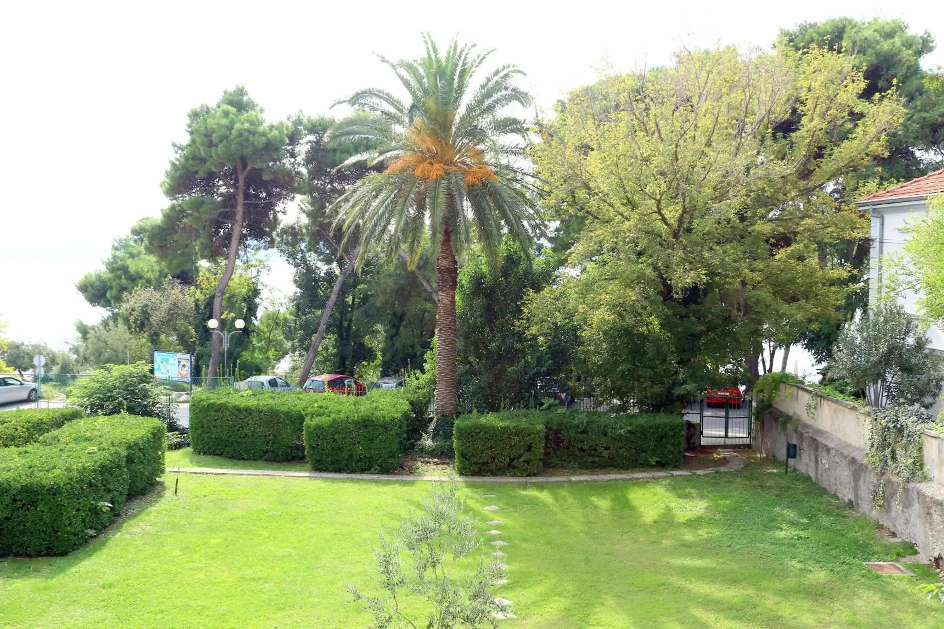 Garden in Hotel Kolovare