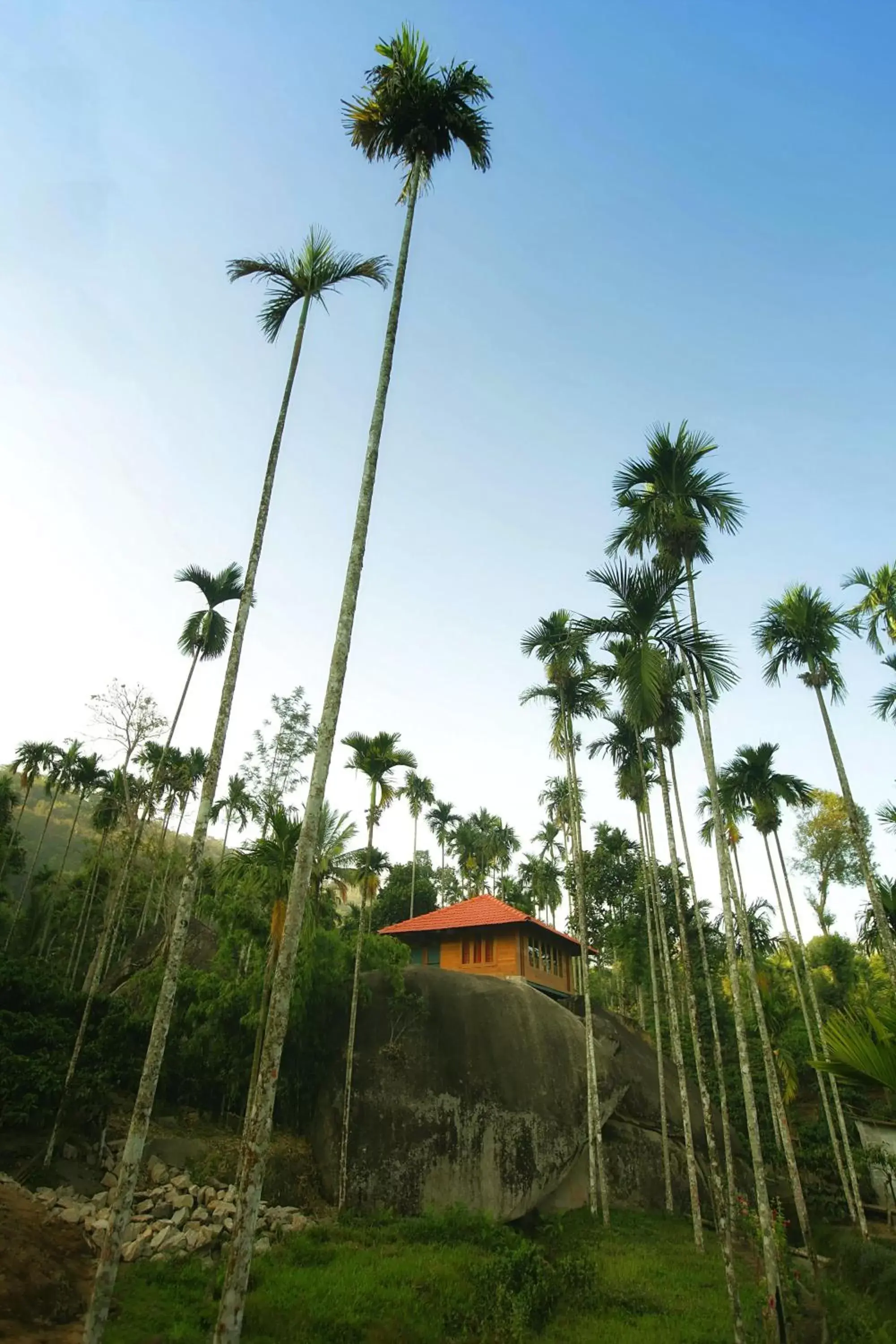 Rock House in Avadale Wayanad - Stag Groups Not Allowed Rock House in Avadale Wayanad - Stag Groups Not Allowed