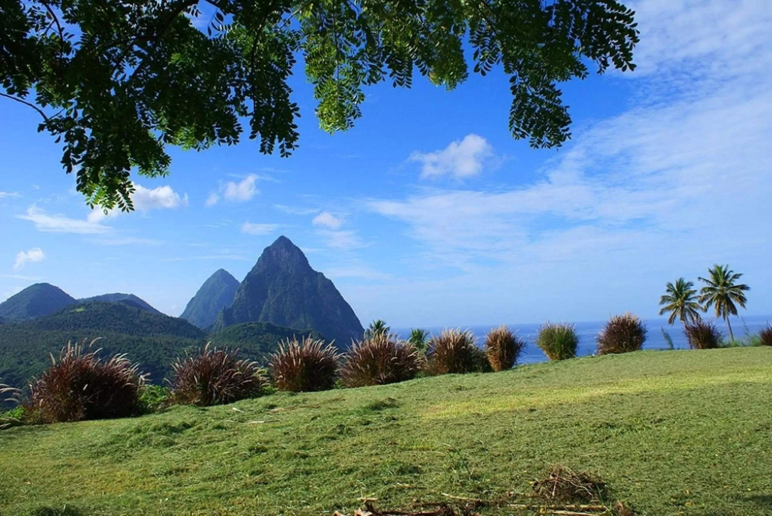 Area and facilities in La Haut Resort