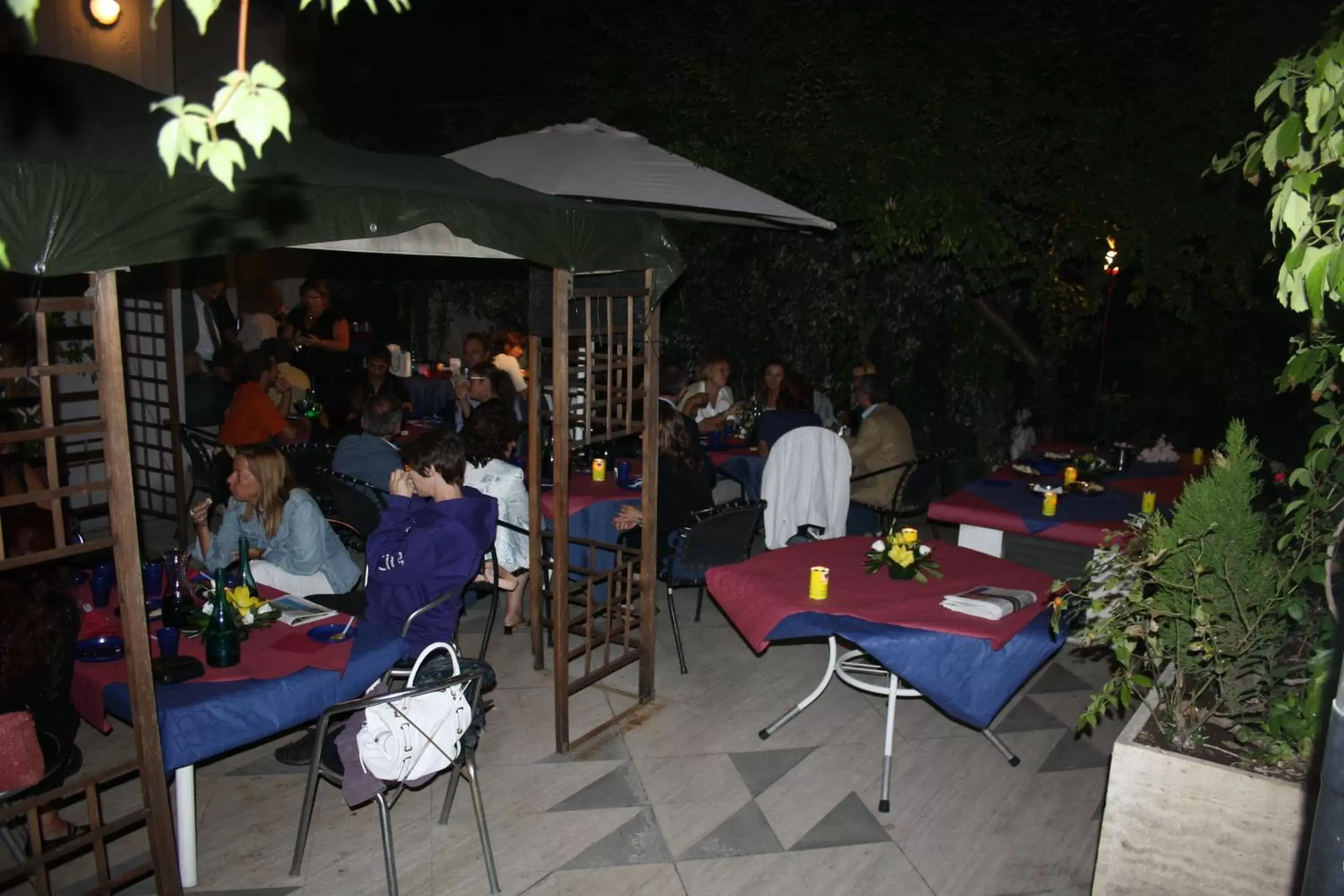 Garden in Hotel Letizia