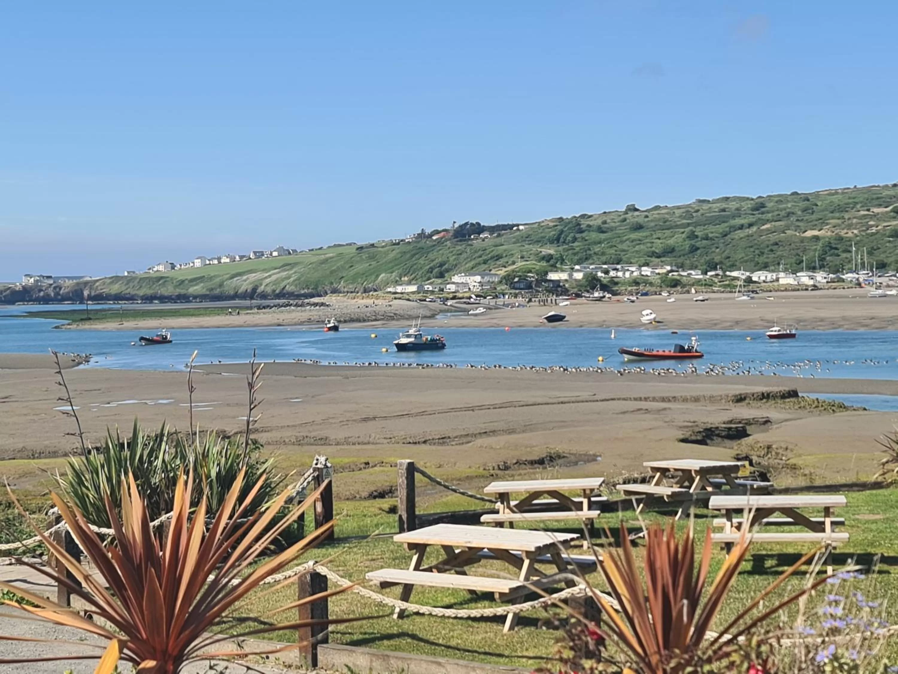 Natural landscape, Beach in The Teifi Waterside Hotel