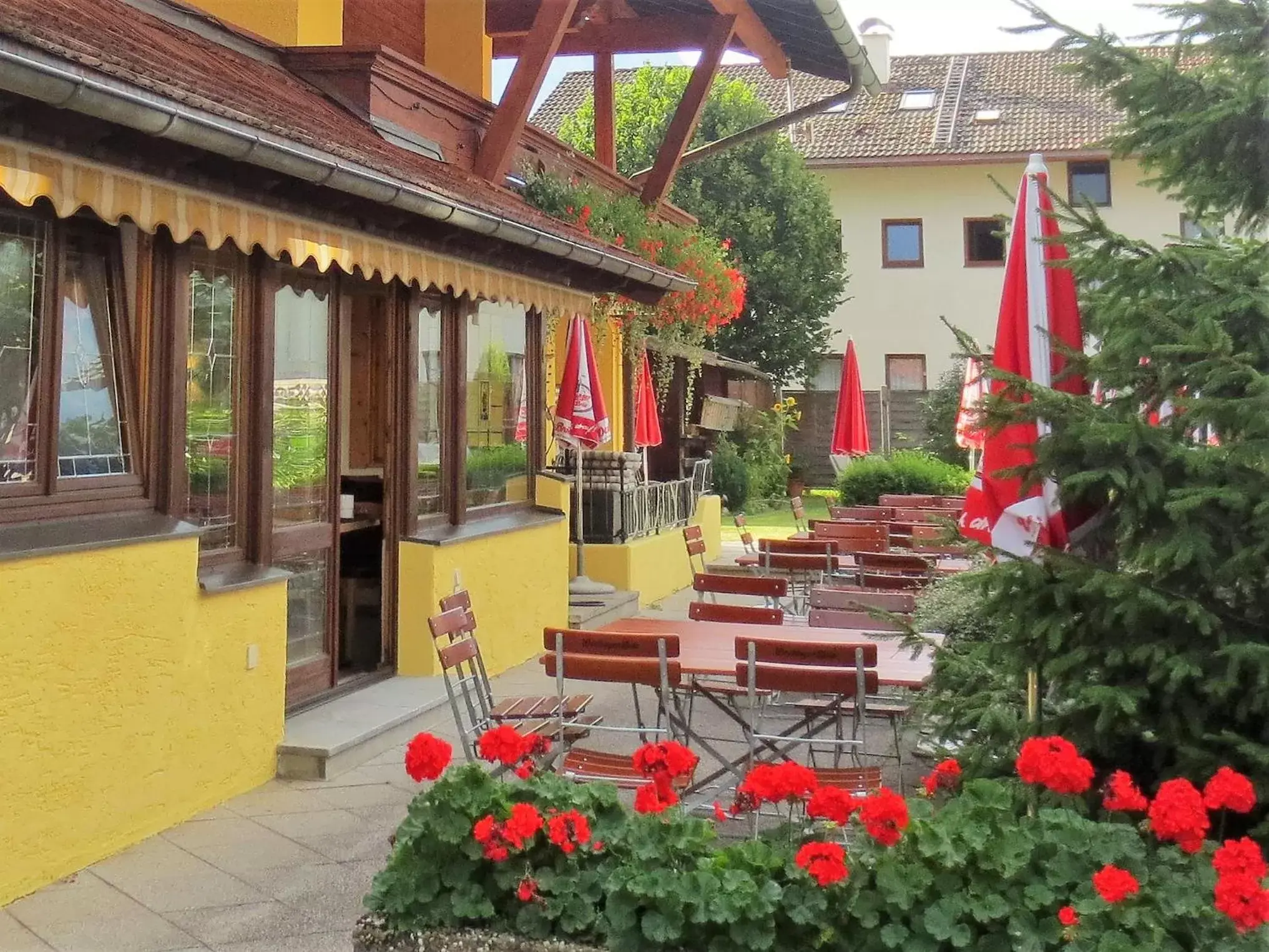 Balcony/Terrace in Hotel Alp Inn