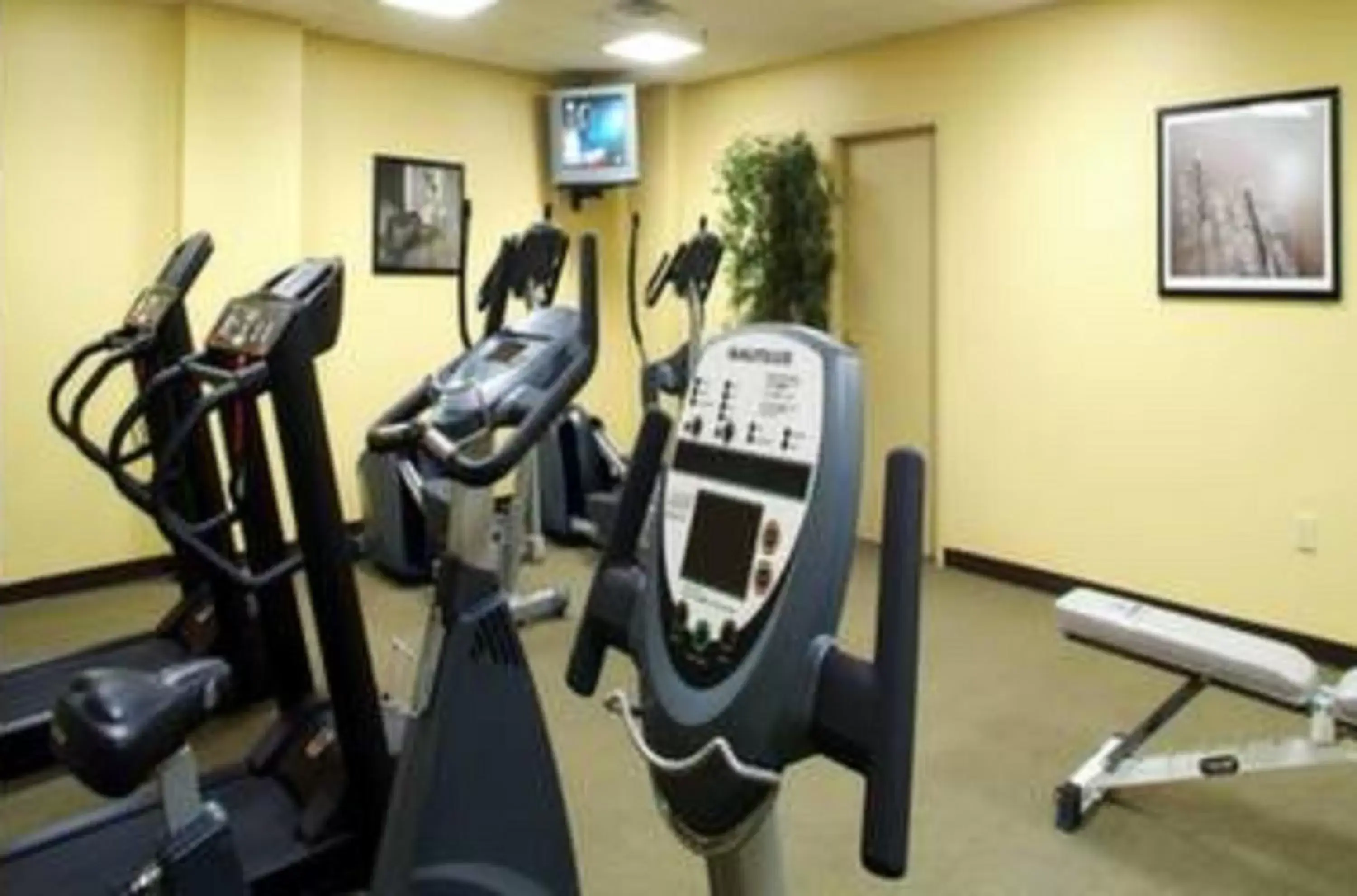 Fitness centre/facilities, Fitness Center/Facilities in Normandy Farm Hotel & Conference Center