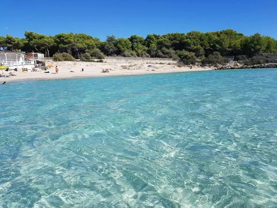 Beach in B&B Luxury Apartments