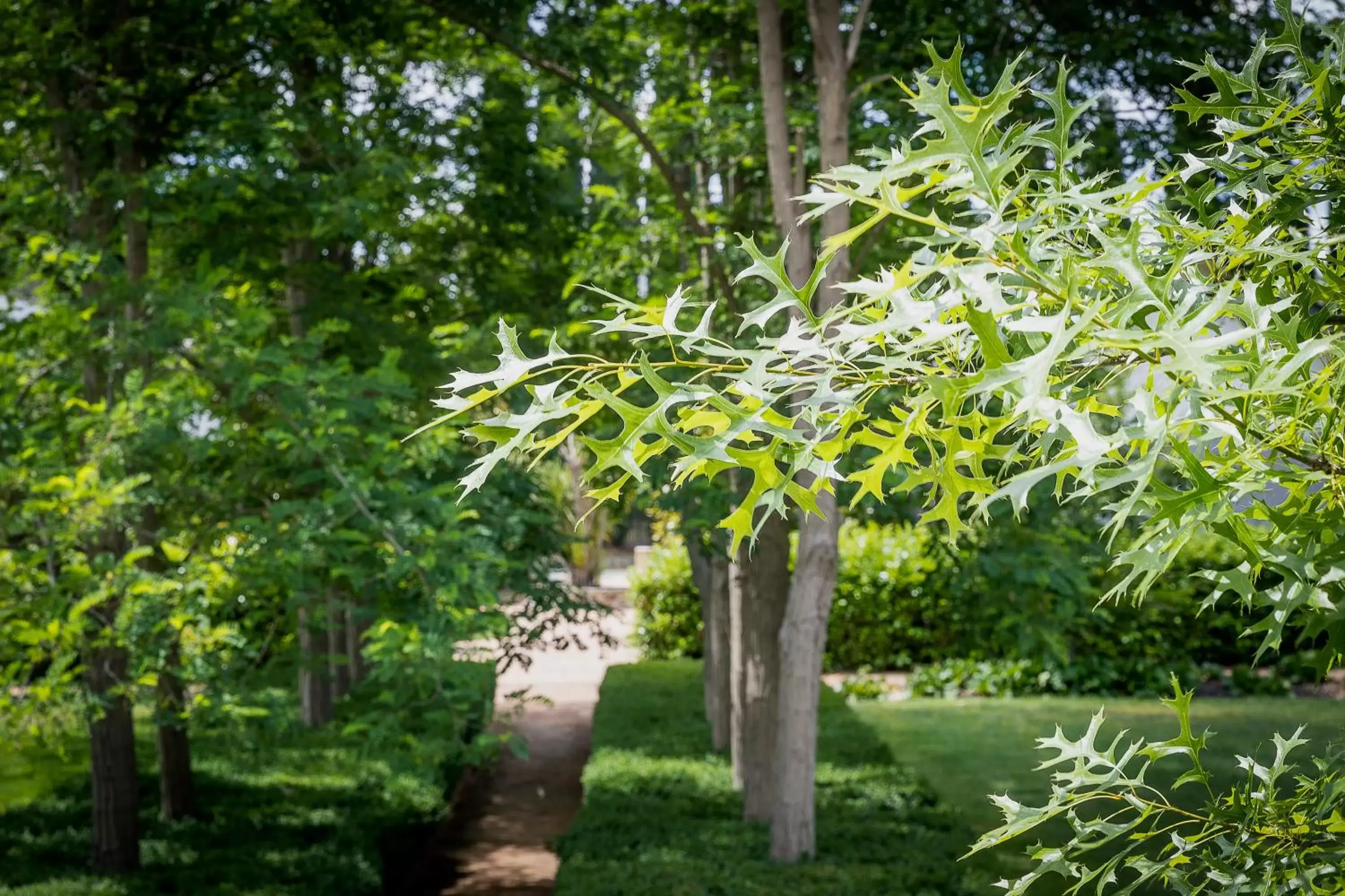 Garden in The Sebel Bowral Heritage Park