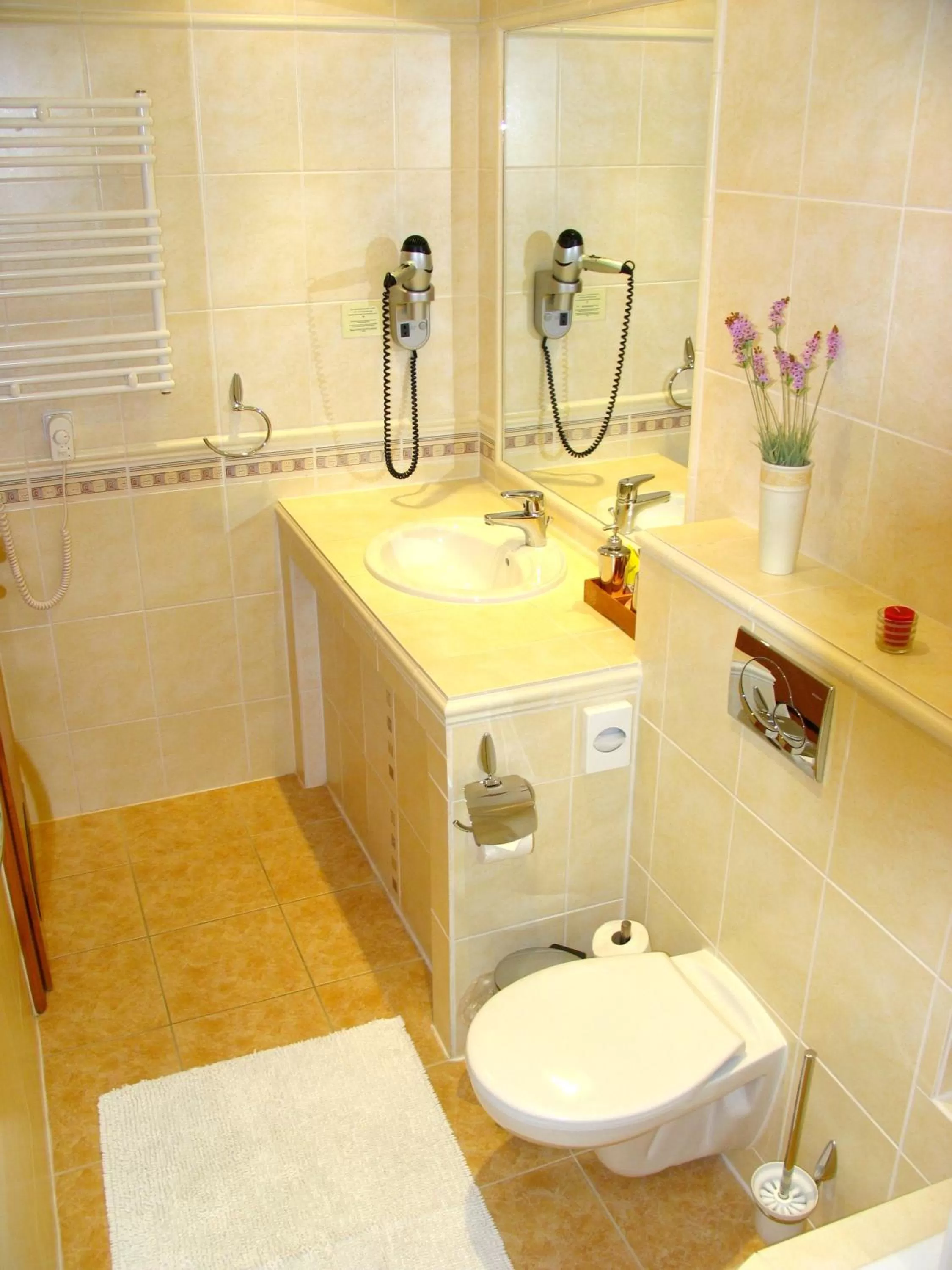 Bathroom in Hotel Roudna