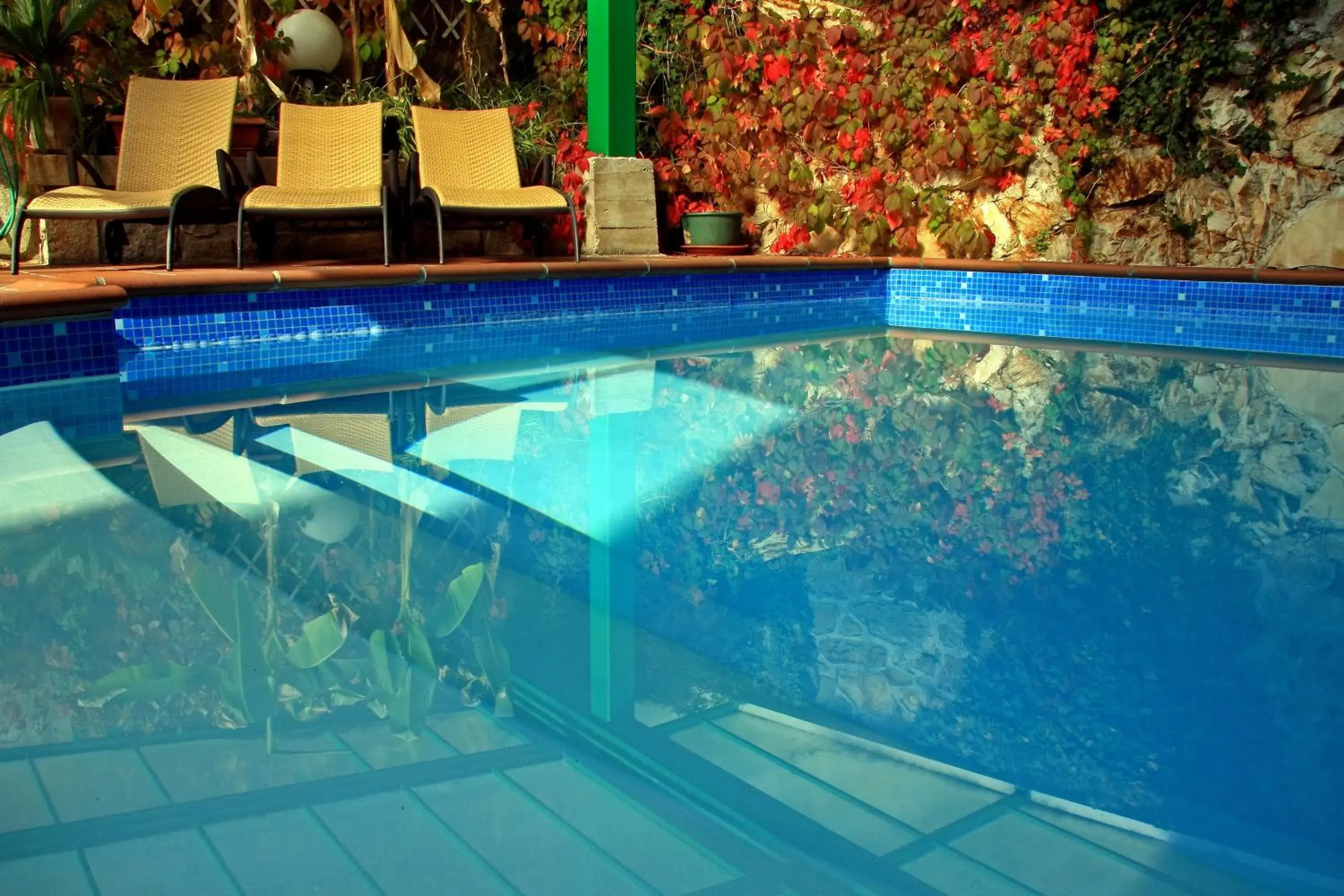 Swimming Pool in Grand Hôtel de Lyon