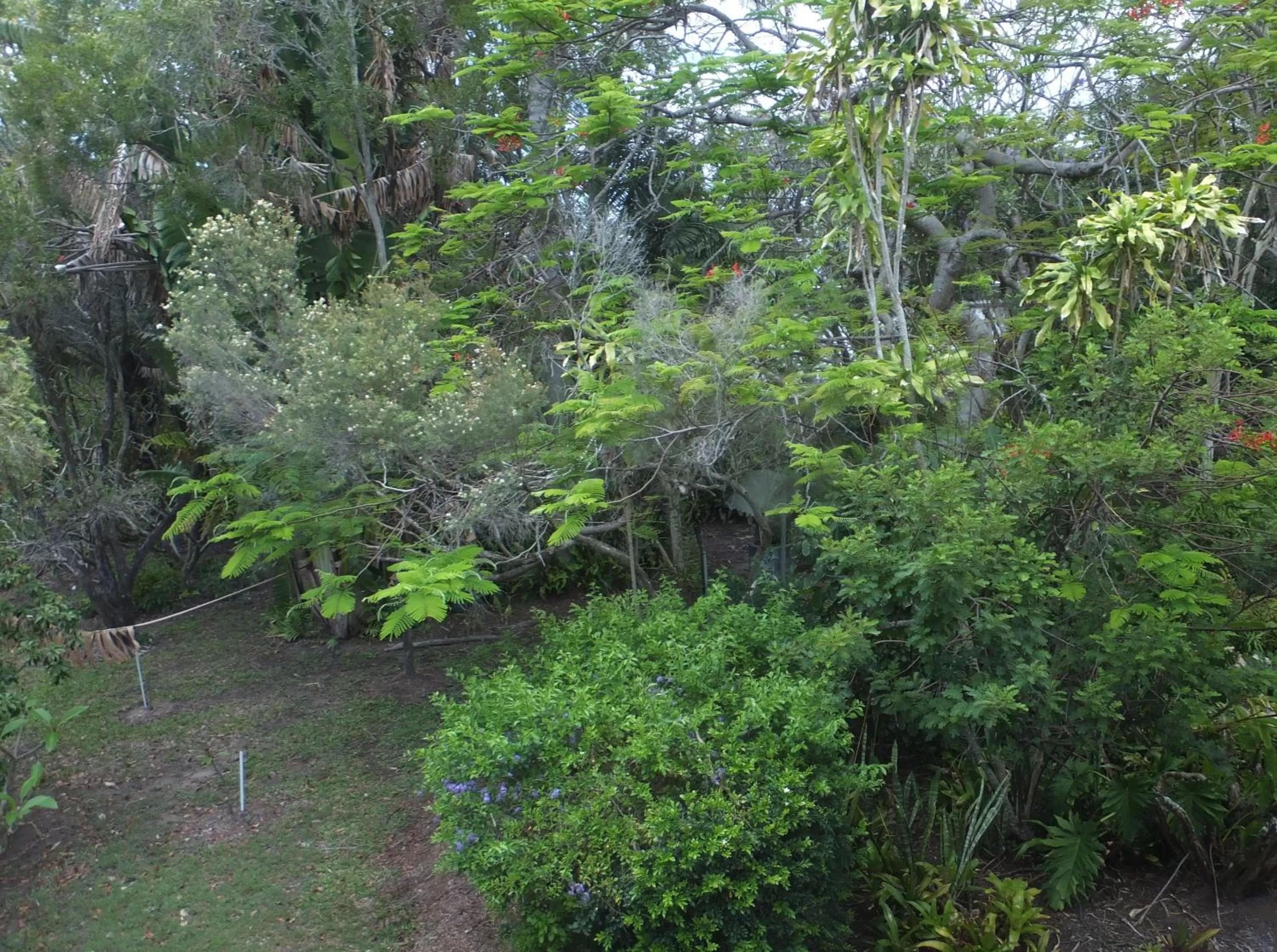 Garden in Torquay Terrace Bed & Breakfast