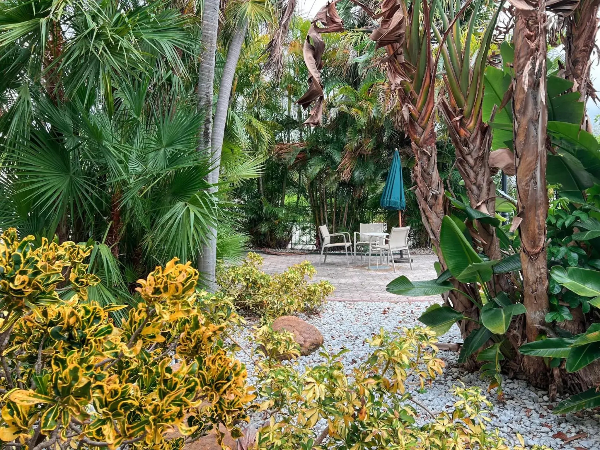 Natural landscape, Garden in Tropi Rock