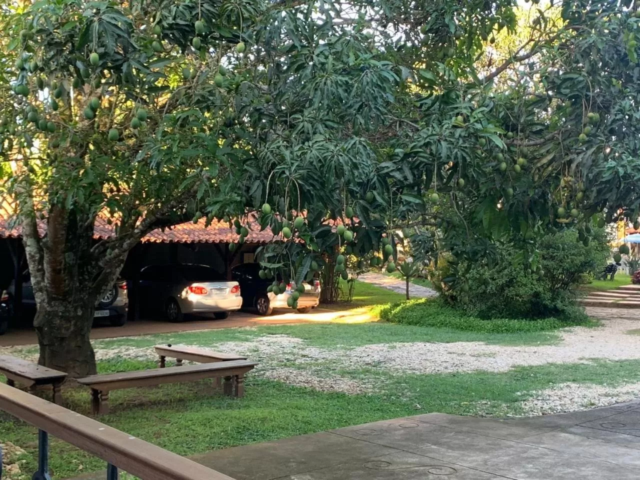 Garden in Pousada Villa Real